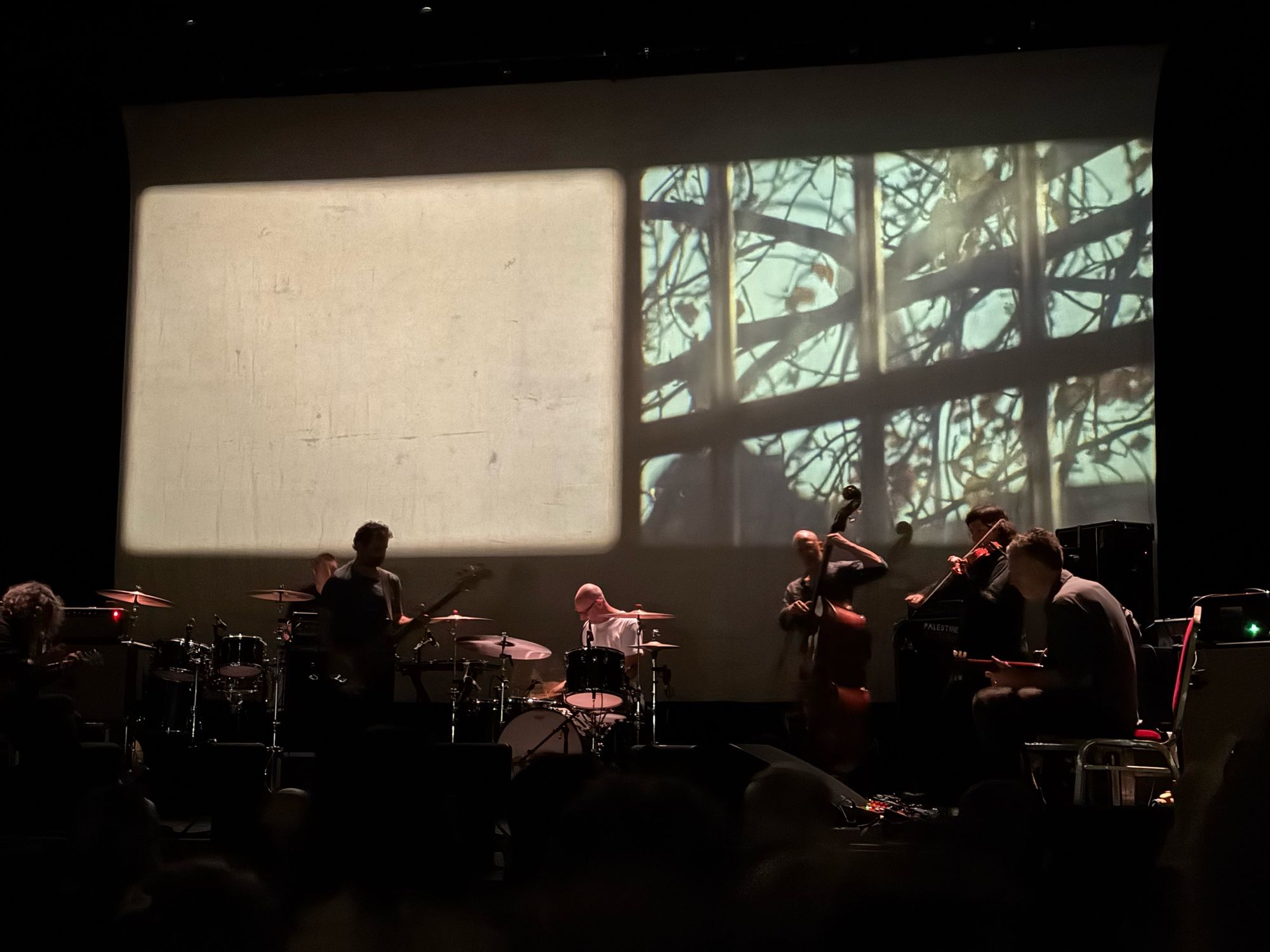 The other half of Godspeed. Mauro again, Aiden on drums, Thierry on double bass, Sophie on violin & David sitting down on guitar. Image of a window behind them.