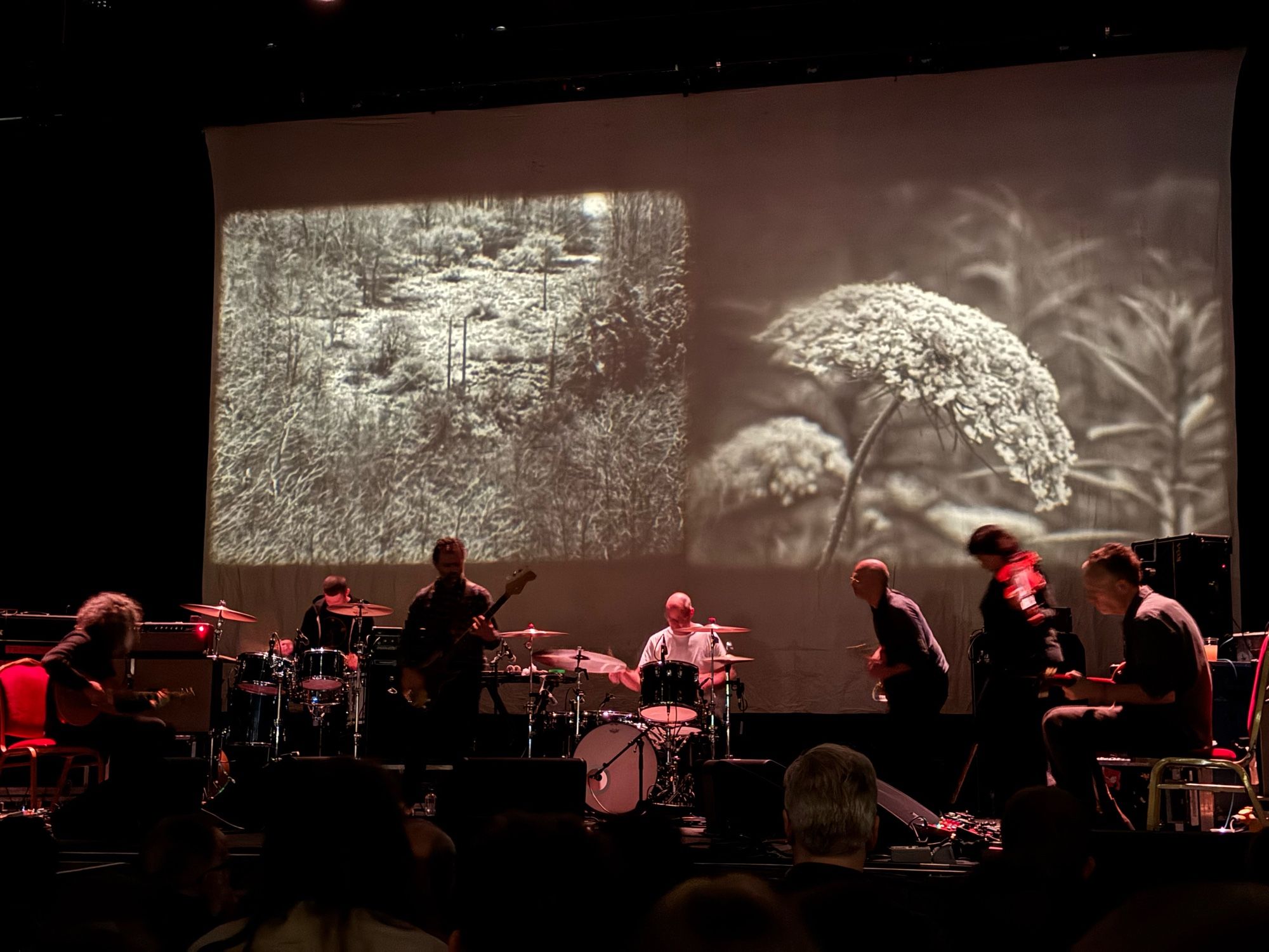 Godspeed with black & white images of flowers & vegetation projected behind them.