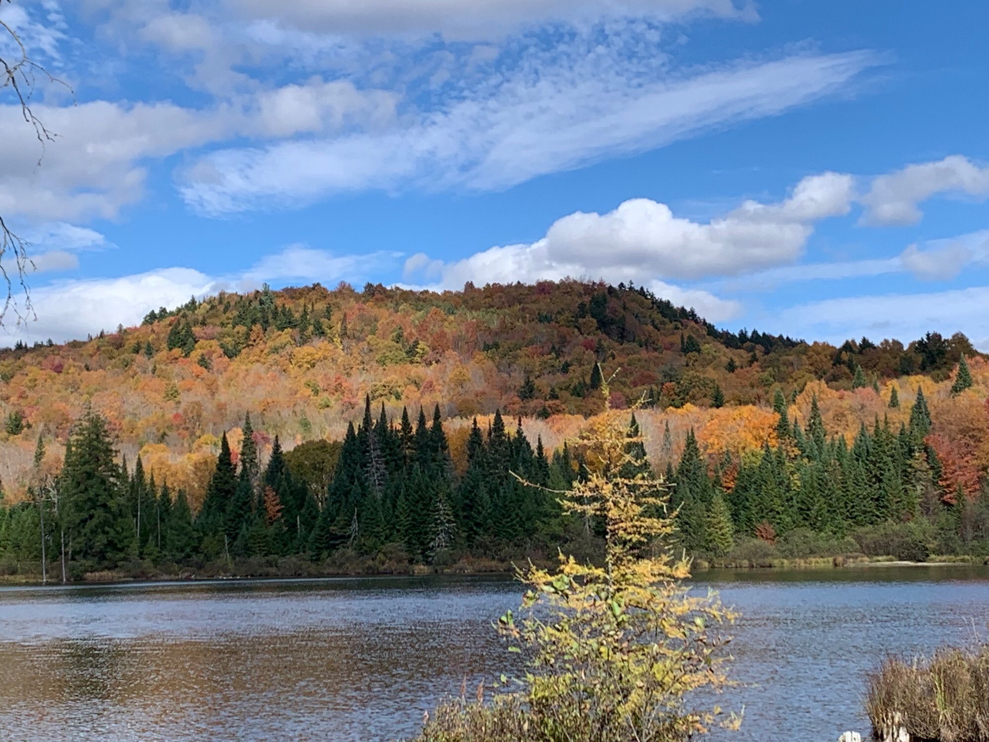 Fall has turned the foliage into a painting with a rainbow of colors. The phone is looking over Moose pond at the mountain side. Pointy spruce at the ponds edge is natural rainbow colors are from a second growth deciduous forest.