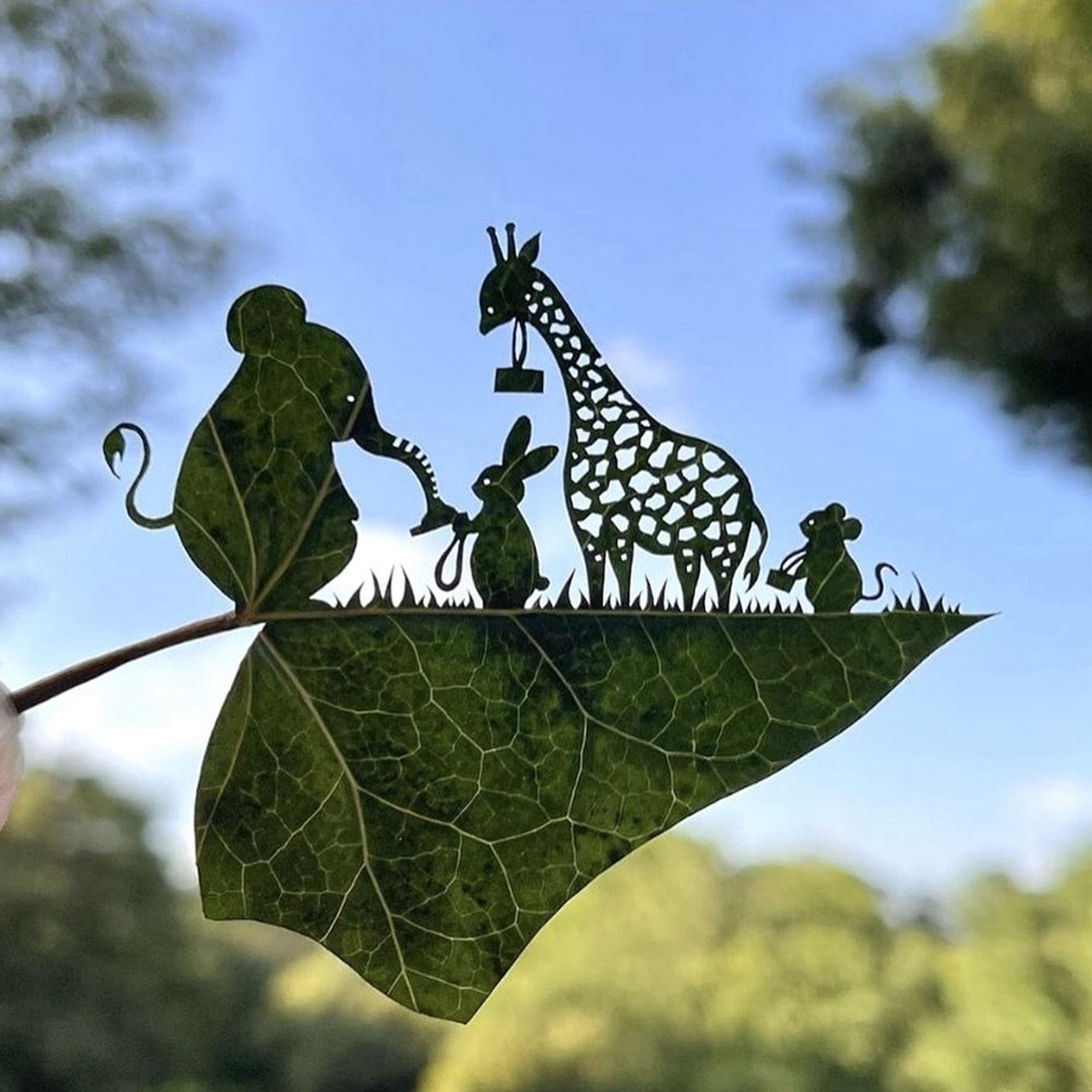 An ivy leaf is held horizontally in front of a blue sky.  The top half is carved, the bottom half is untouched.
A rabbit, giraffe & mouse seem to be queuing in front of the elephant with ID passes on lanyards which the elephant checks.