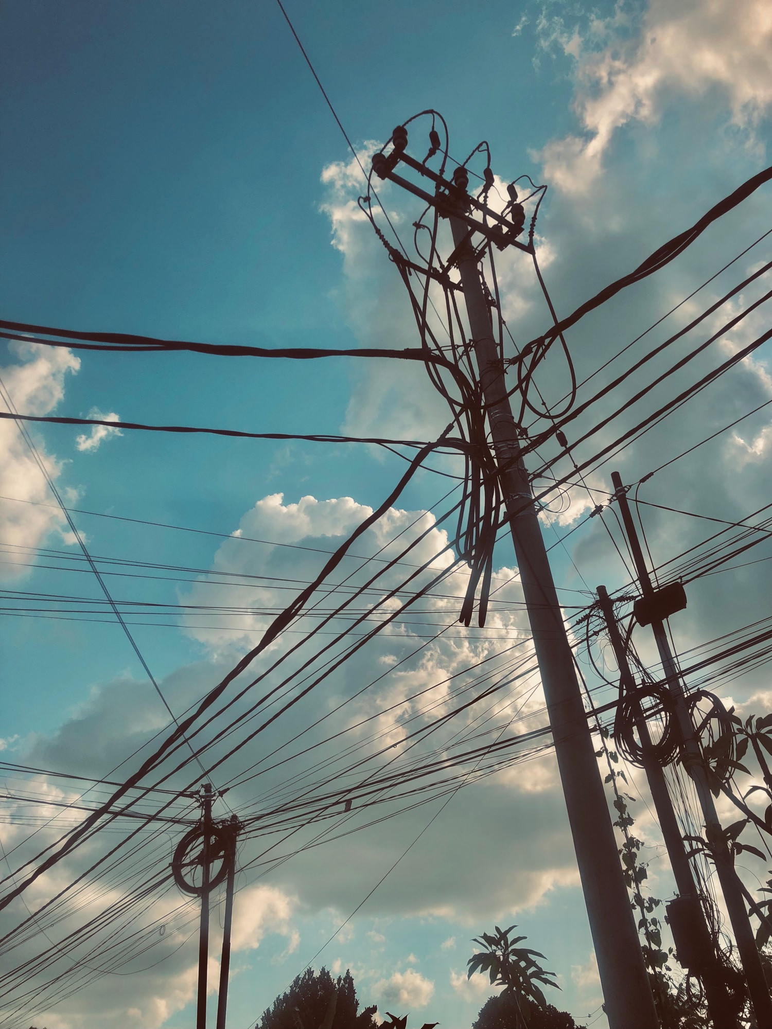 A series of electrical wires and poles against a turquoise blue pre-golden hour afternoon sky with clouds in the shapes of dollops of whipped cream. Tropical trees cast their sillouhettes against the scene.