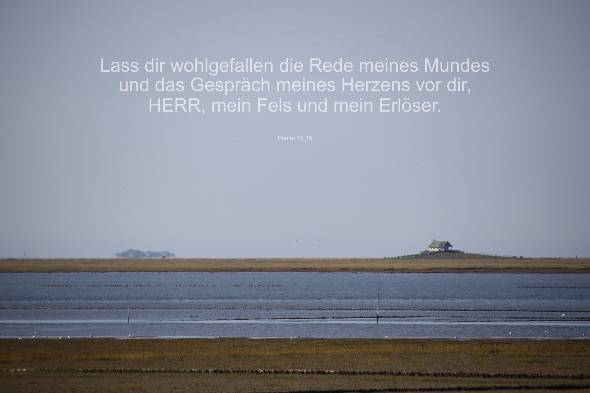 Lass dir wohlgefallen die Rede meines Mundes und das Gespräch meines Herzens vor dir, 
HERR, mein Fels und mein Erlöser.

Psalm 19,15