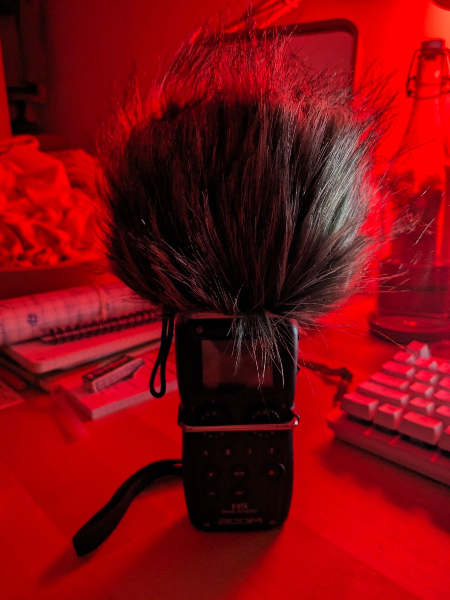 Picture of a Zoom H5 microphone, with his big furry bonnet to protect it from the wind.