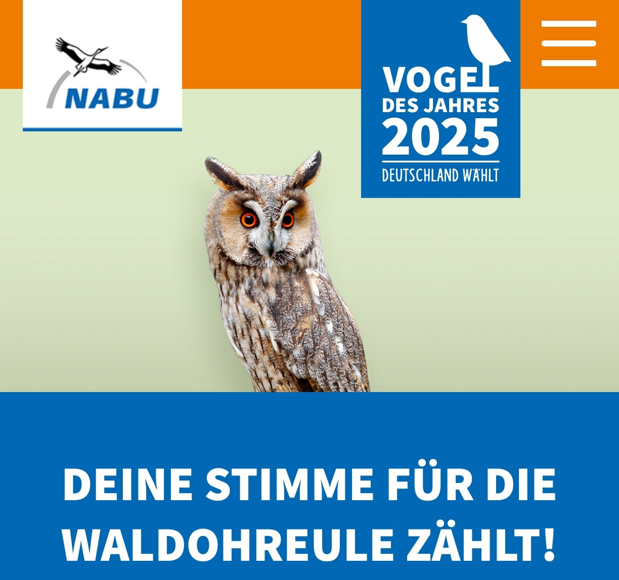 Screenshot der NABU Seite mit einer Waldohreule und den Text "Deine Stimme für die Waldohreule zählt!"