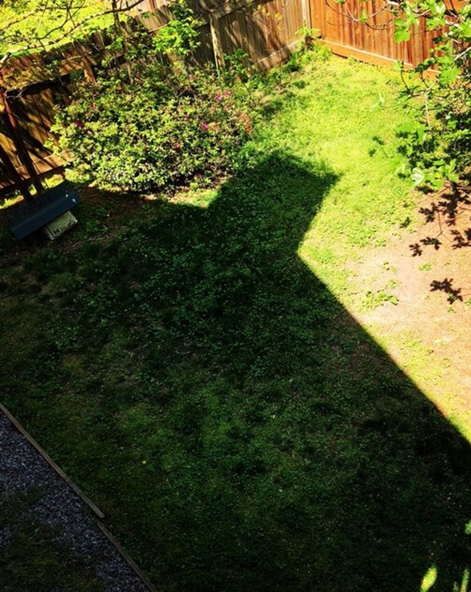 The photo of my house casting a Batman like shadow in the backyard and inspiration for the previous drawing