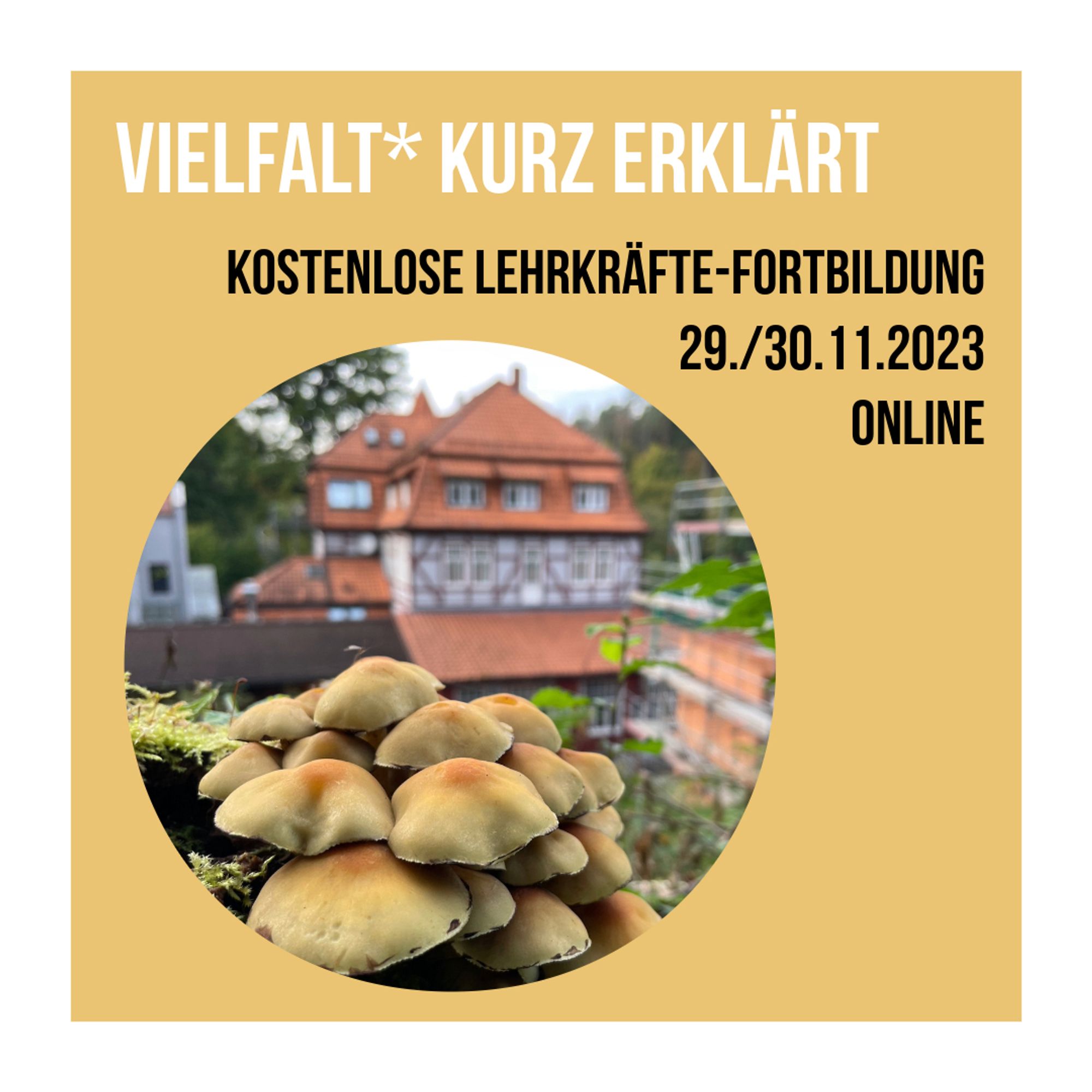 Gelbe-orange Pilze, im Hintergrund das Waldschlösschen-Hauptgebäude, Text "Vielfalt kurz erklärt"