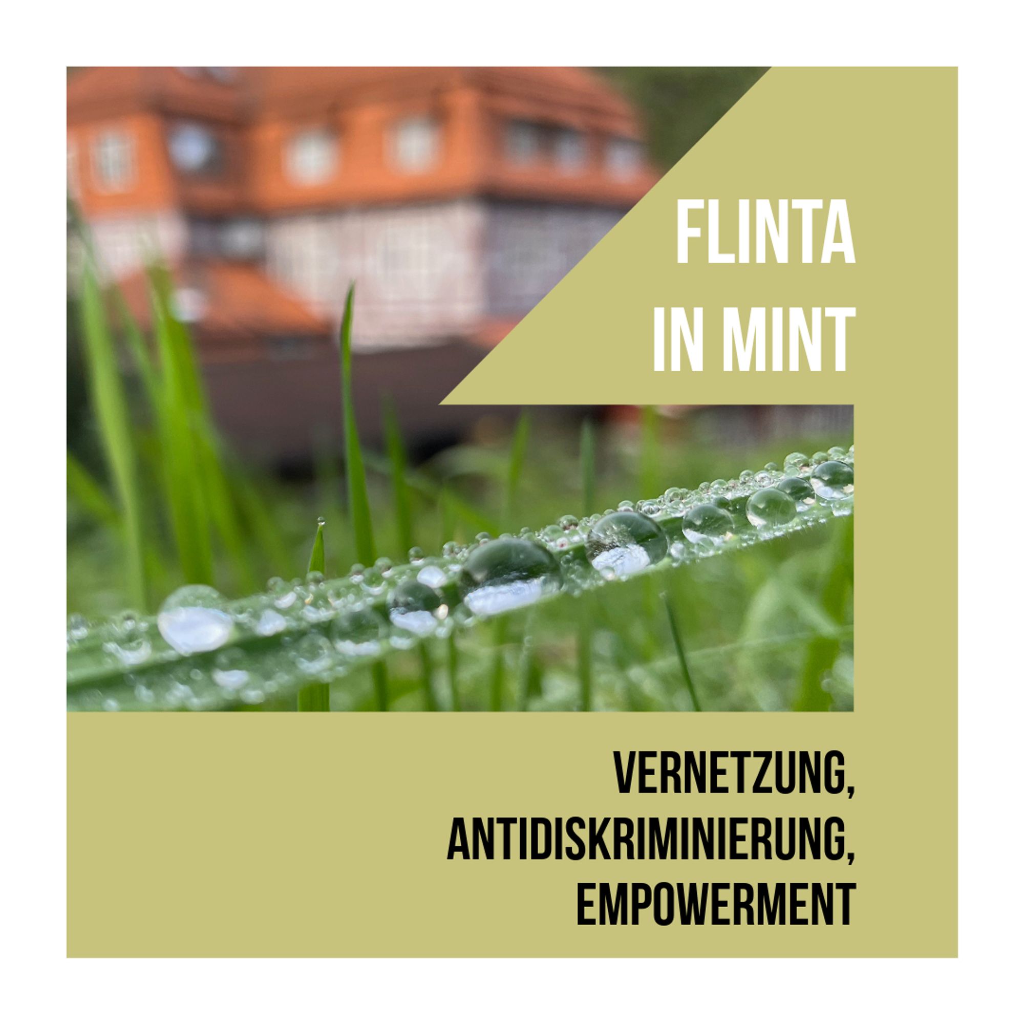 Text „FLINTA in MINT – Vernetzung, Antidiskriminierung, Empowerment“ vor Foto mit Grashalm, auf dem Wassertropfen stehen, im Hintergrund das Tagungshaus Waldschlösschen