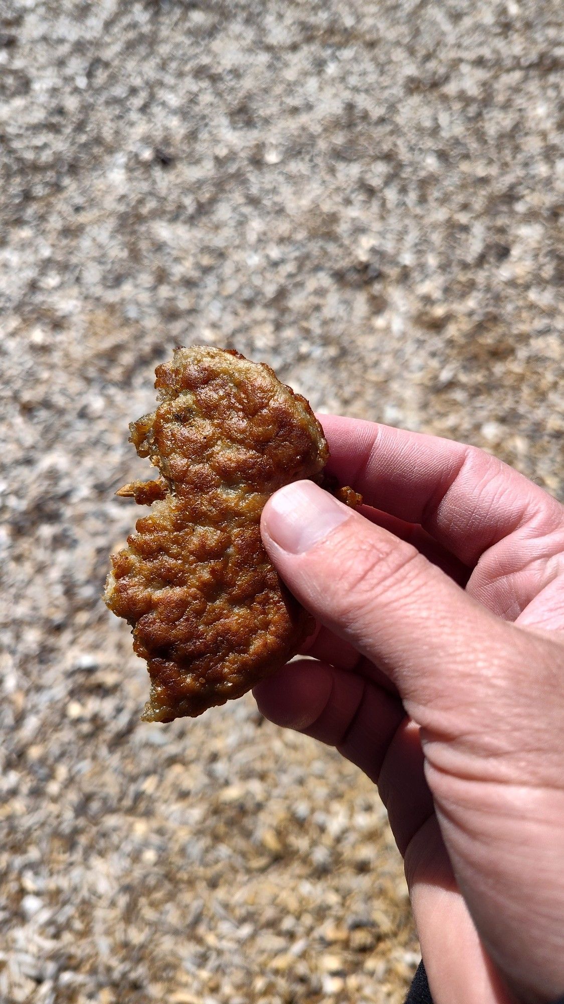 A hand holding half of a sausage patty. Wood chips can be seen in the background below.