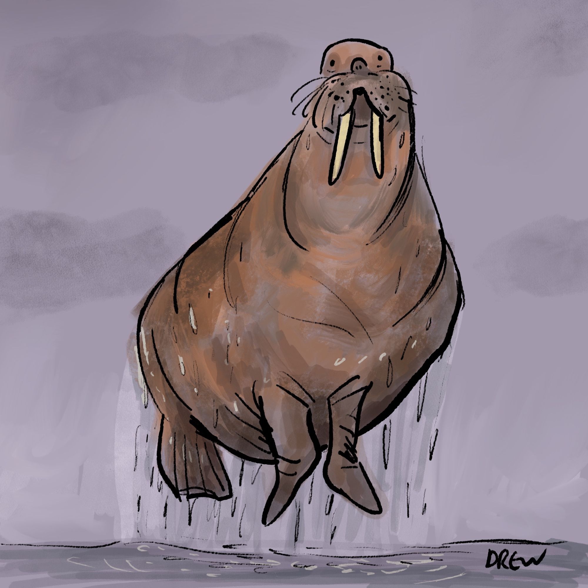 Illustration of flying walrus