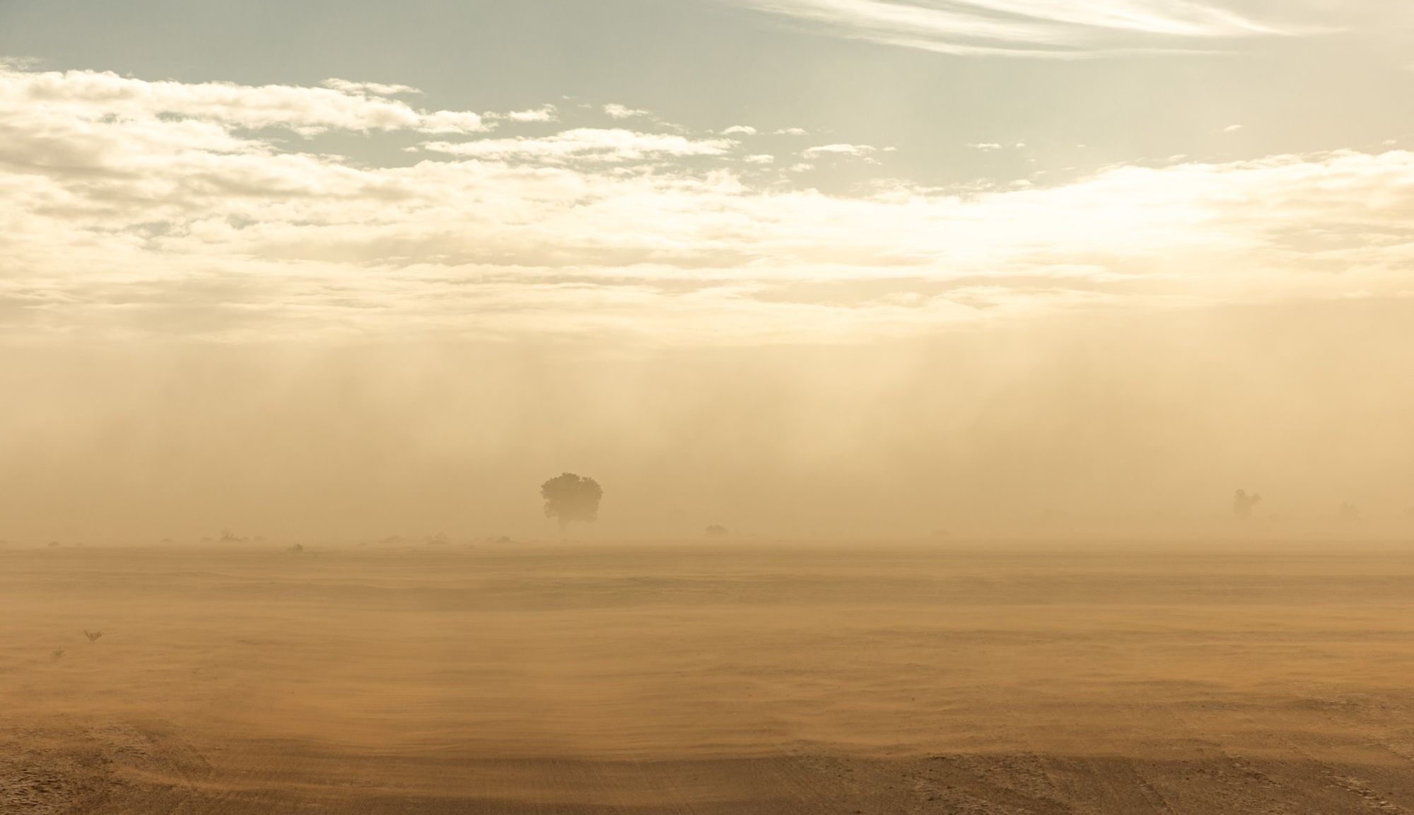 A Saharan sandstorm.