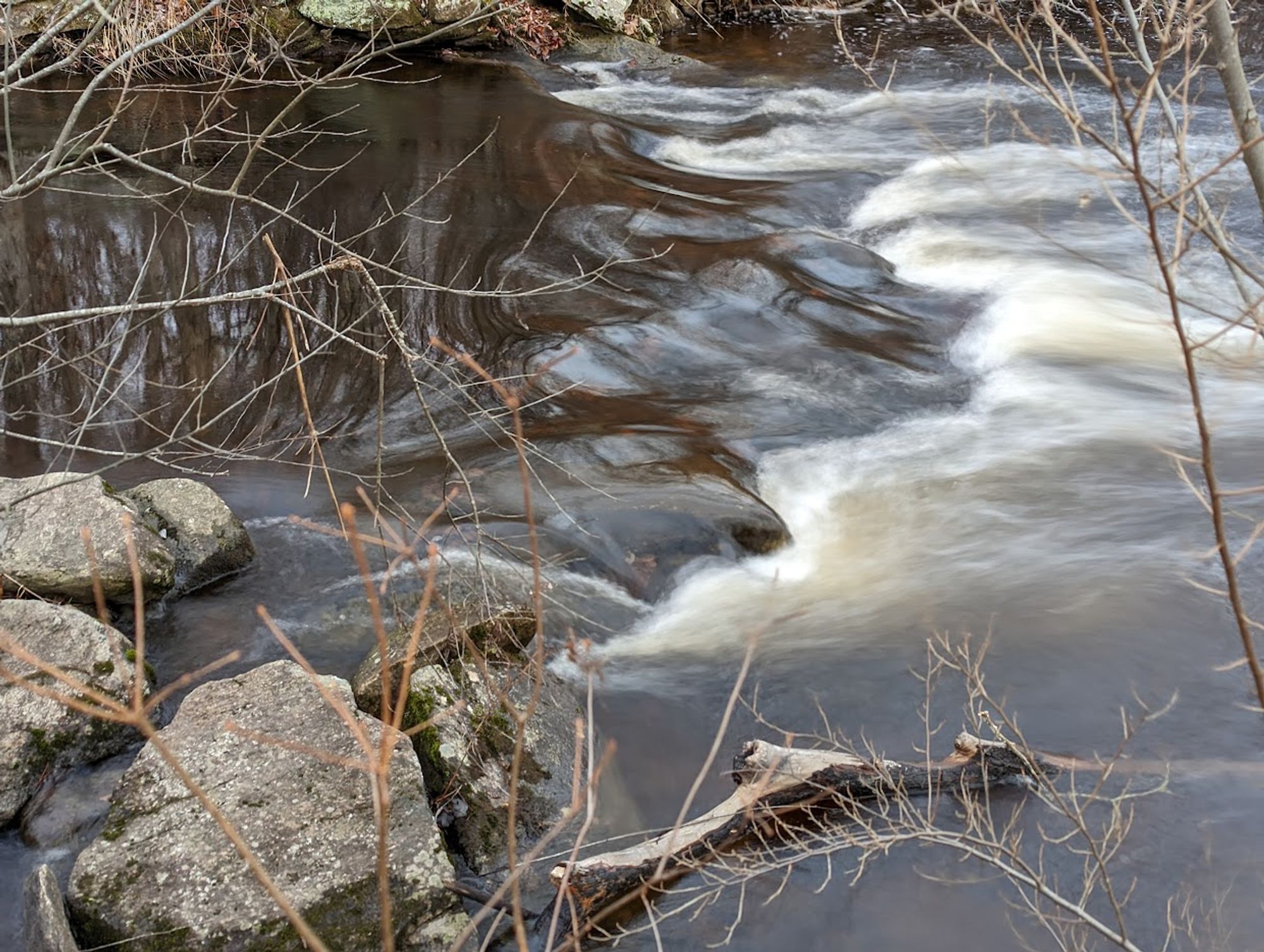 A stream, water displaying the browns above and below it, flows through a landscape of stones and bare branches.