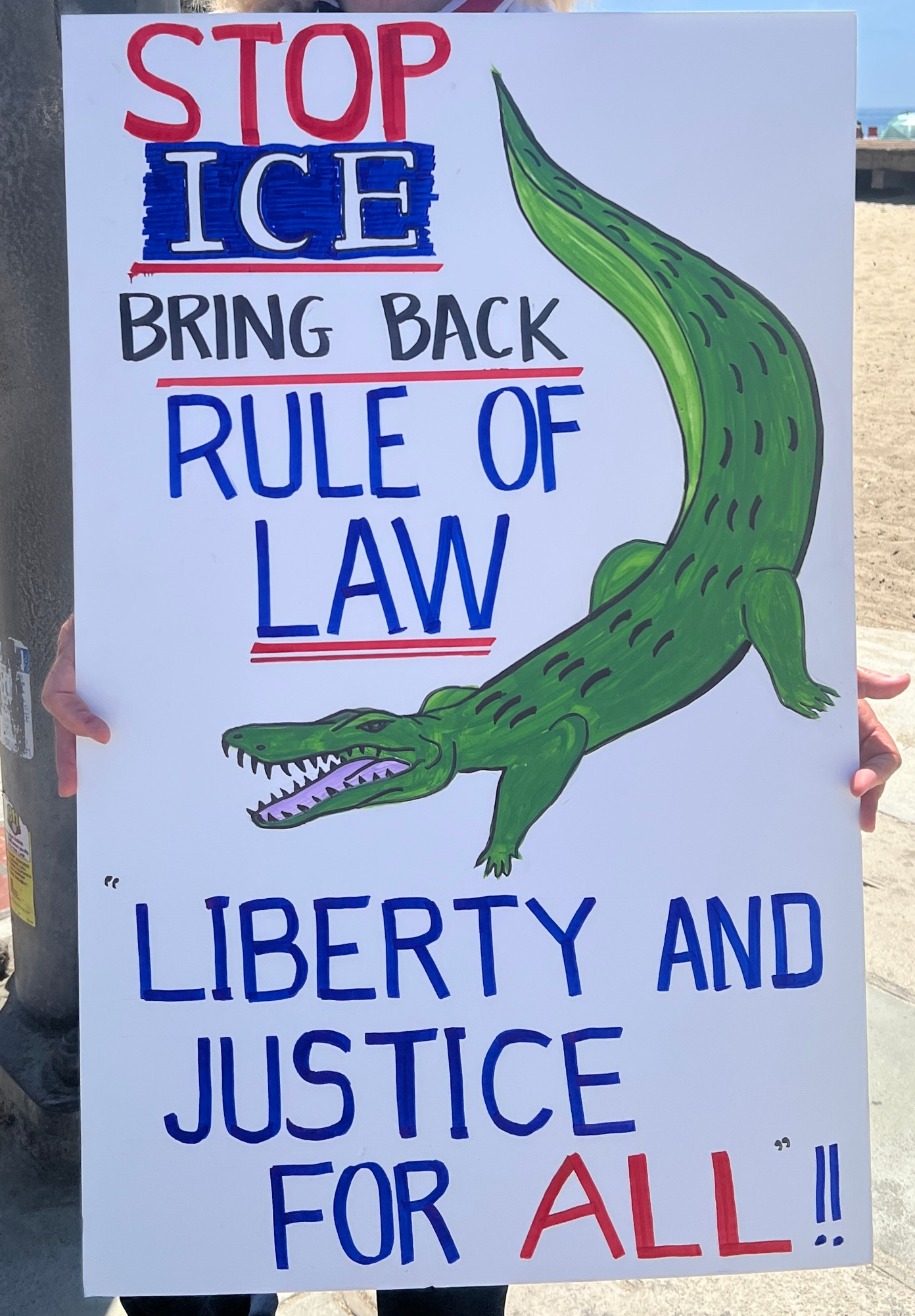 Stop ICE
Bring back the Rule of Law
Liberty and Justice for All