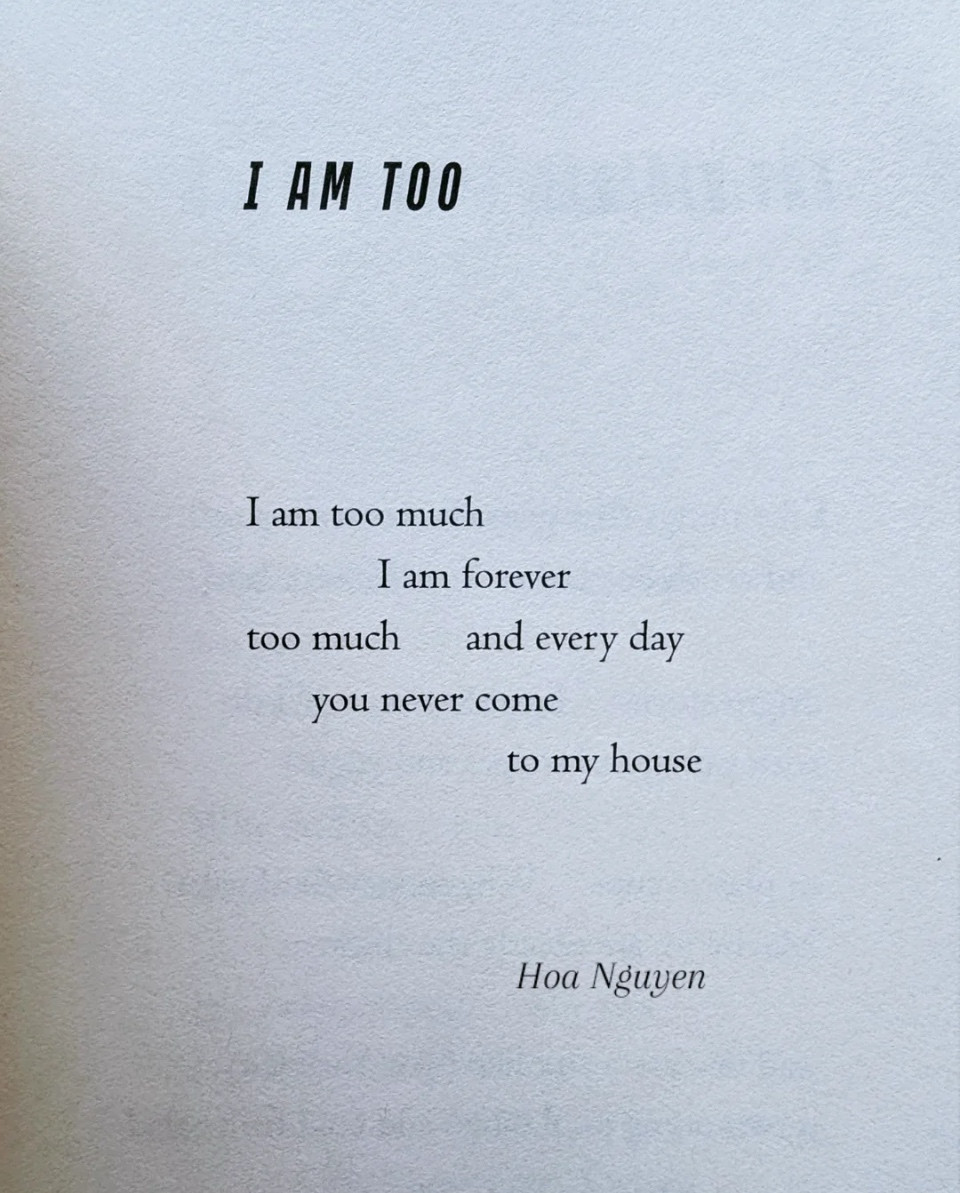 I AM TOO
I am too much
I am forever
too much
and every day
you never come to my house
Hoa Nguyen