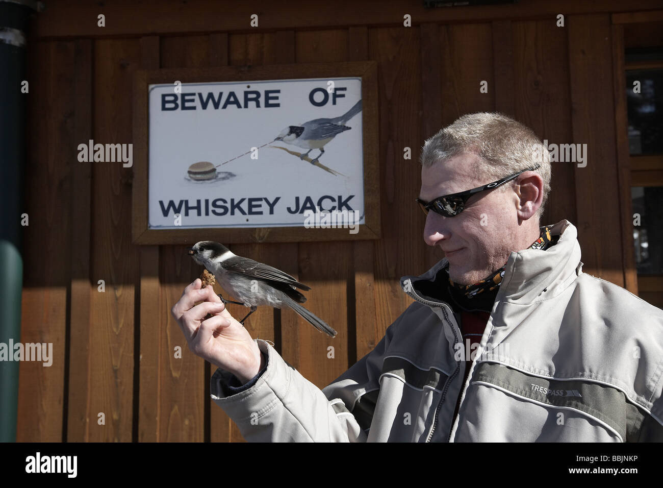 Whiskey Jack stealing food out of a man’s hand while he stands in front of a sign reading “BEWARE OF WHISKEY JACK” featuring an illustration of a whiskey jack staring at a hamburger