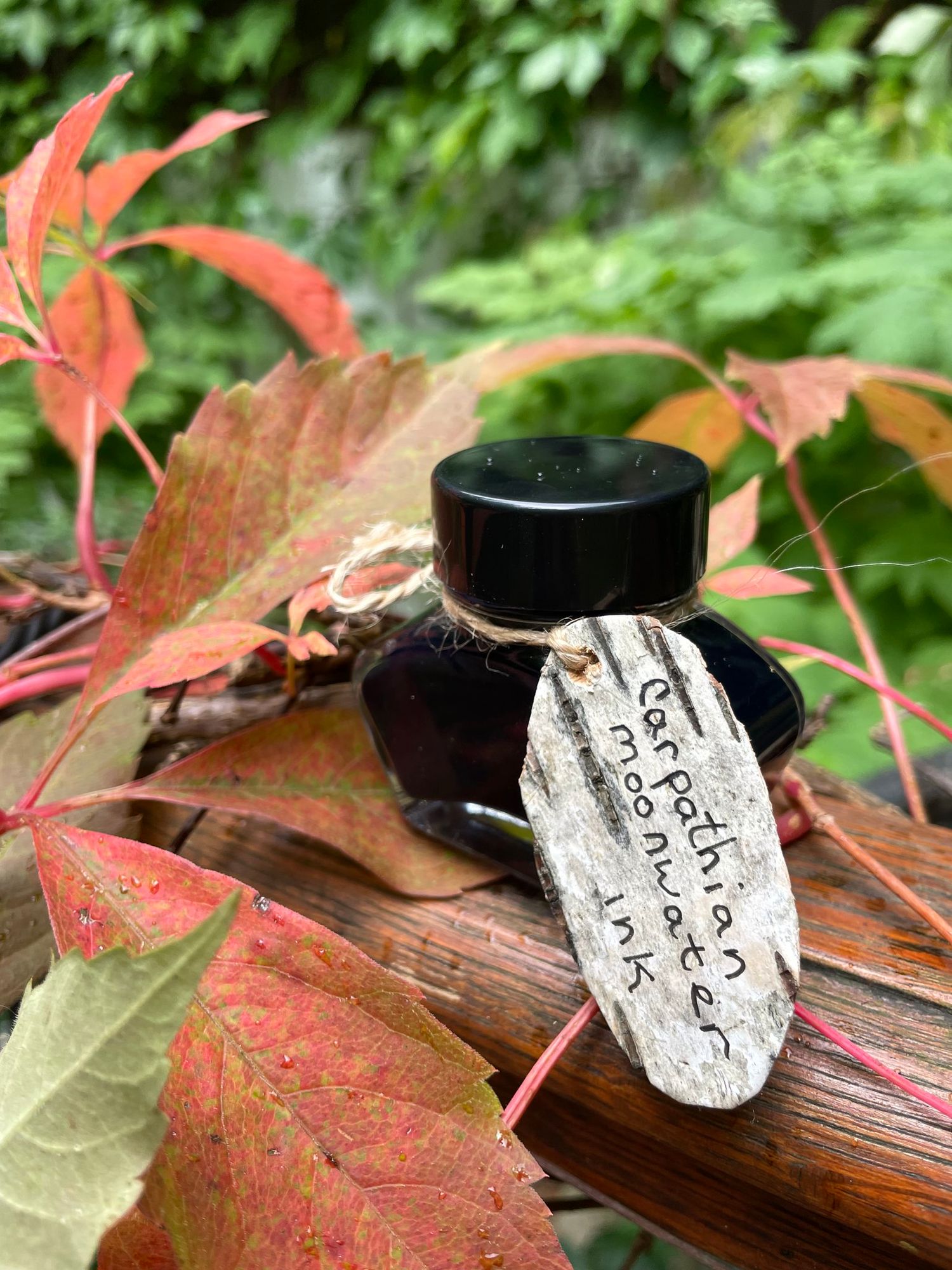 A bottle of Carpathian Moonwater Ink sitting on a polished piece of wood and surrounded by leaves.