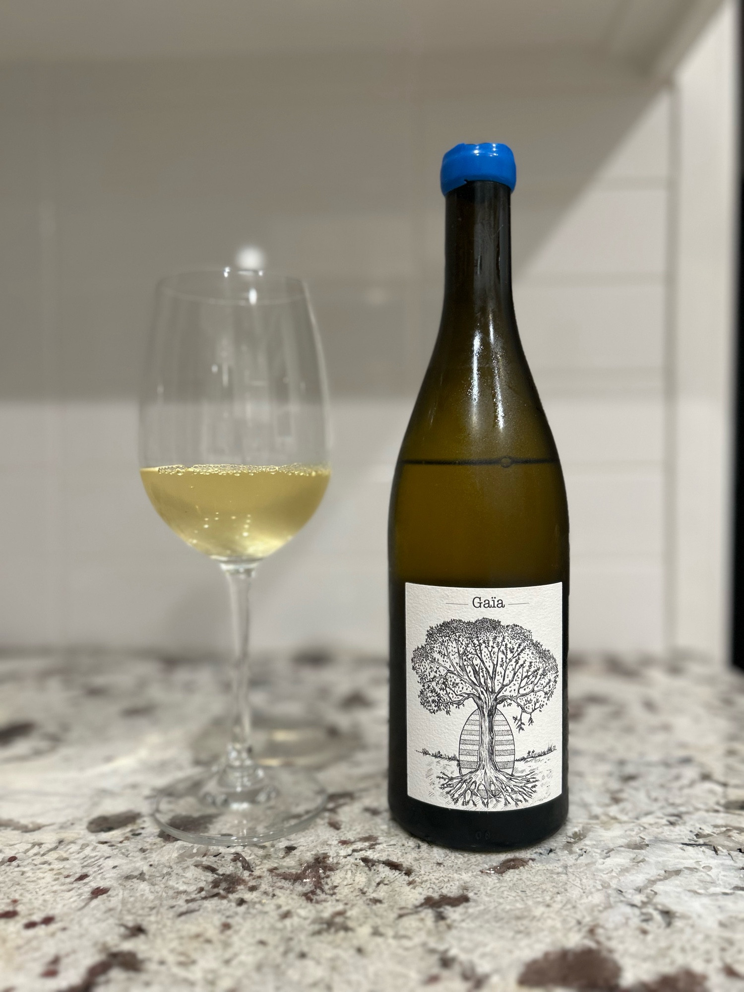 2020 Gaia Cuvée Ovoide Muscadet by Jerome Bretaudeau