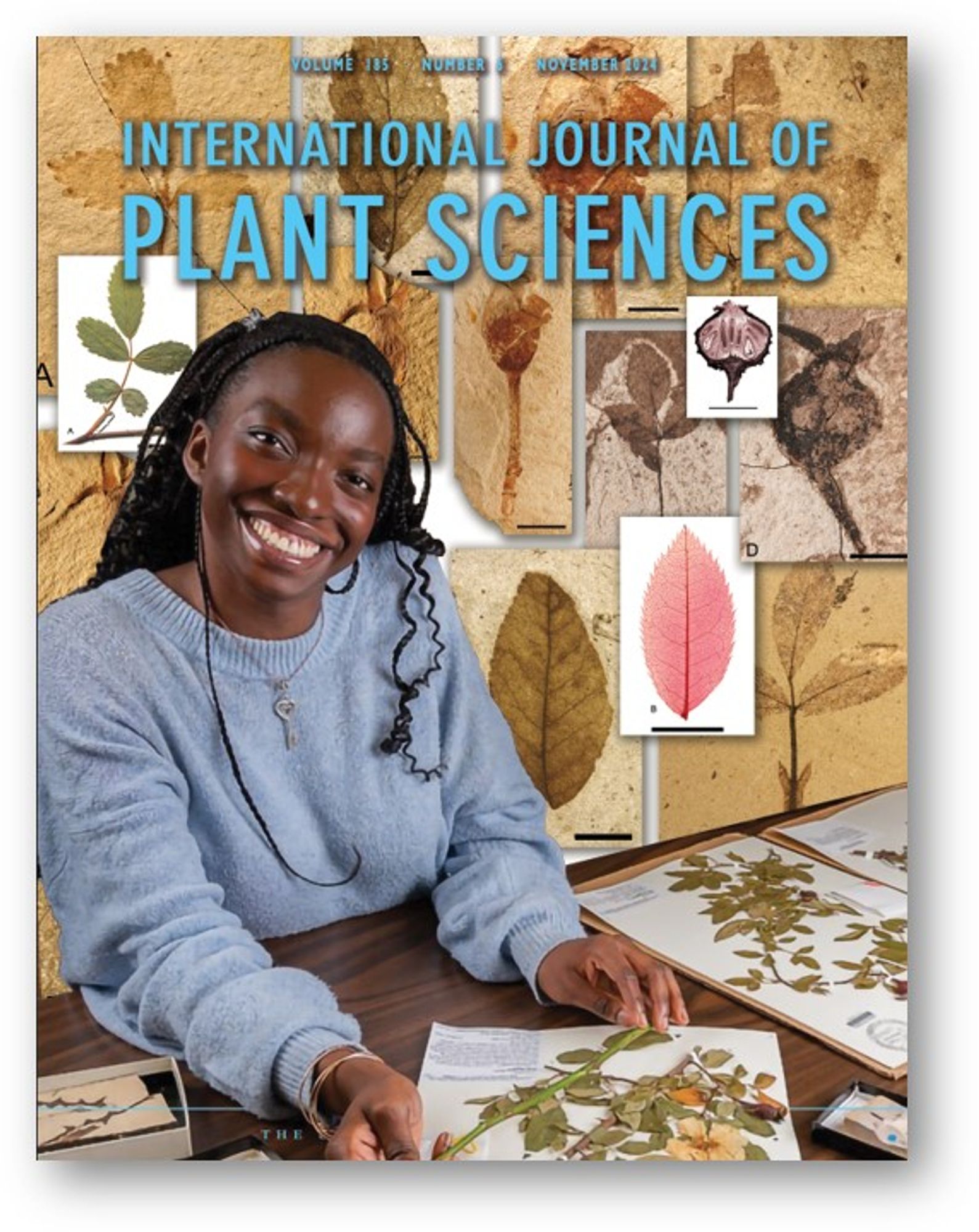 A mock IJPS cover showing undergraduate researchers at work