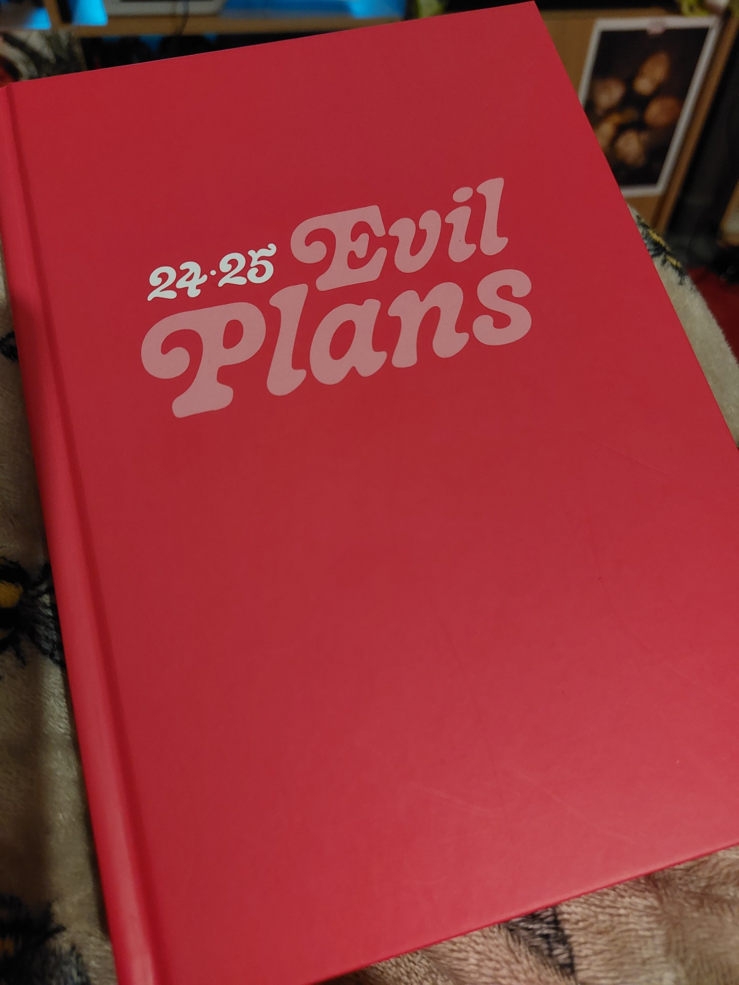 A red 2024 to 2025 diary. It has the text "Evil Plans" in a light pink groovy font. Beneath is a bumblebee blanket.