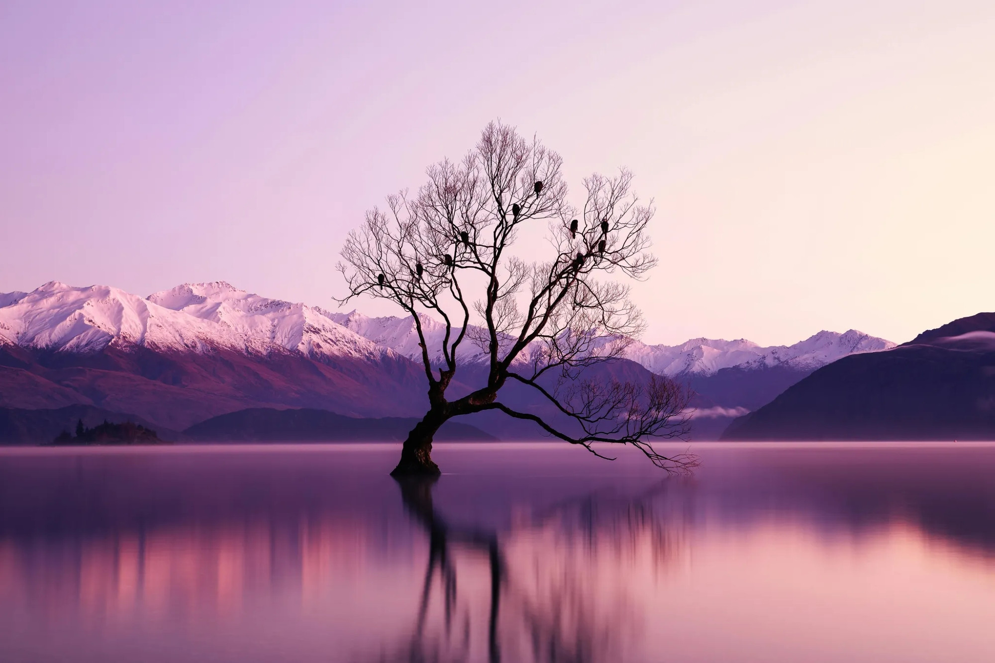 Photo by Kyle Roxas. A lone tree stands partially submerged in a tranquil lake, its bare branches adorned with resting birds. The water’s surface mirrors the soft hues of the sky, blending shades of pink and lavender. In the background, snow-capped mountains rise, their peaks catching the last light of the day. The scene is serene, almost otherworldly, where time seems to slow, and silence carries the whispers of the wind.