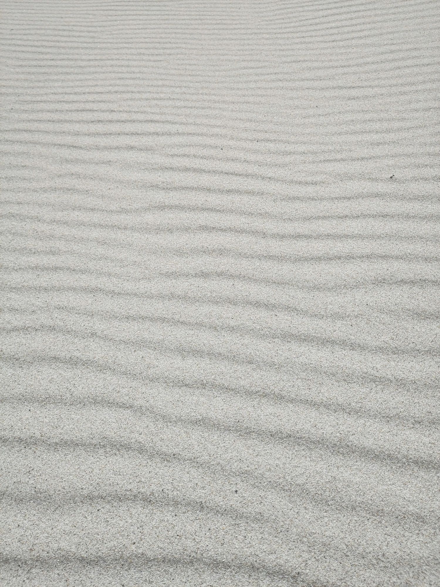 Geriffelter, vom Wind gewehter weißer Sand .