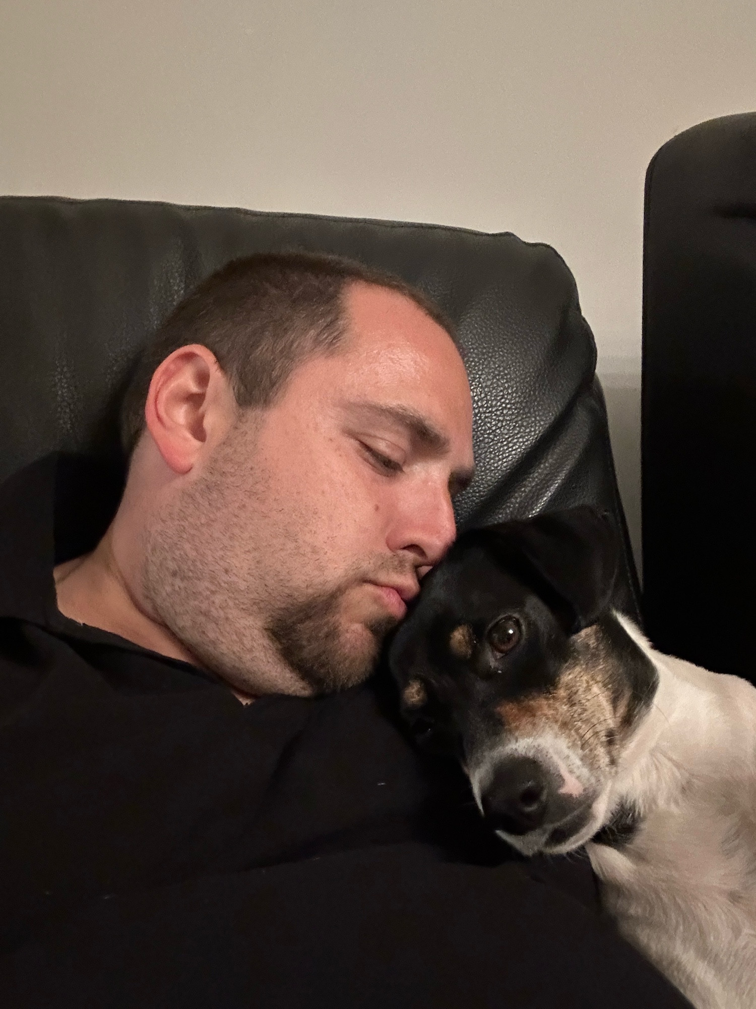 A white and black beagle mix cuddles on the chest of her human, a thirtysomething white man with brown hair and goatee