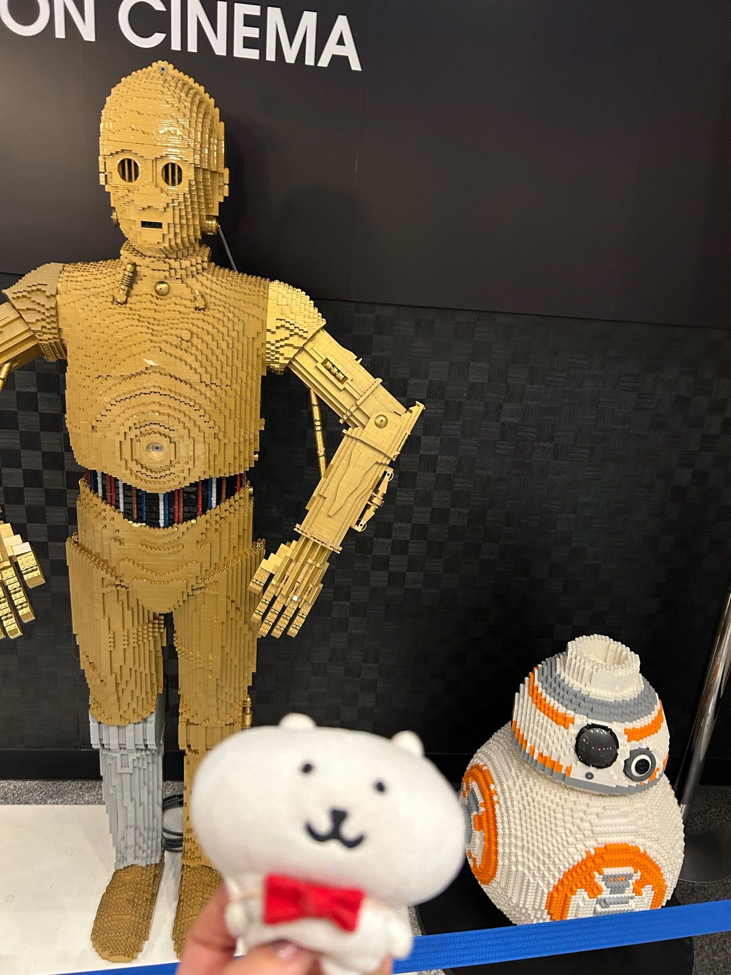 c-3poさんと　BB8ちゃんと
もっちり(   ᵔᴥᵔ  )