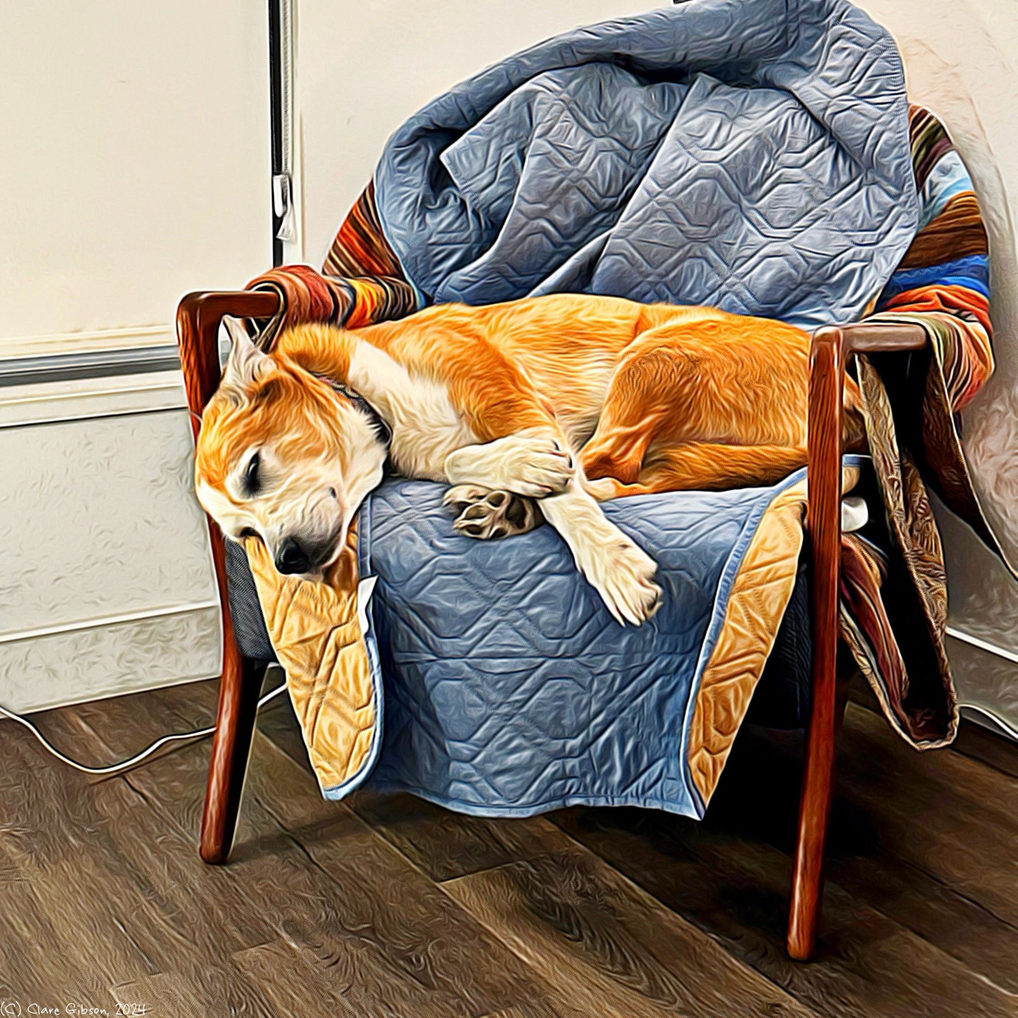 Trudy (smooth collie) dog asleep on quilt covered armchair