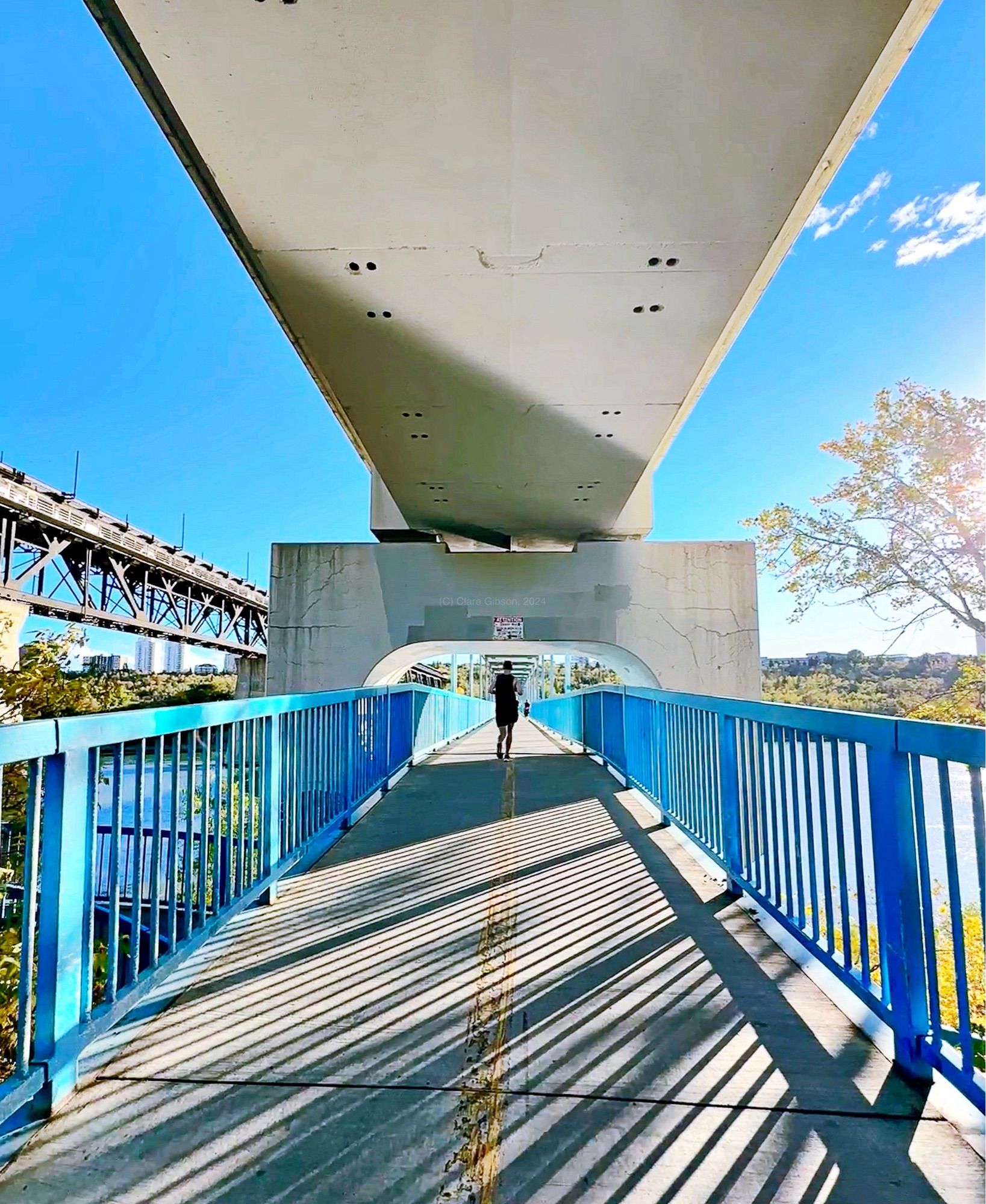 Runner on blue pedestrian bridge that crosses the river. The railings on the side of bridge are creating a pattern of shadows on the walkway. The sun is illuminating a autumnal coloured tree to the right and the high level bridge is visible to the left