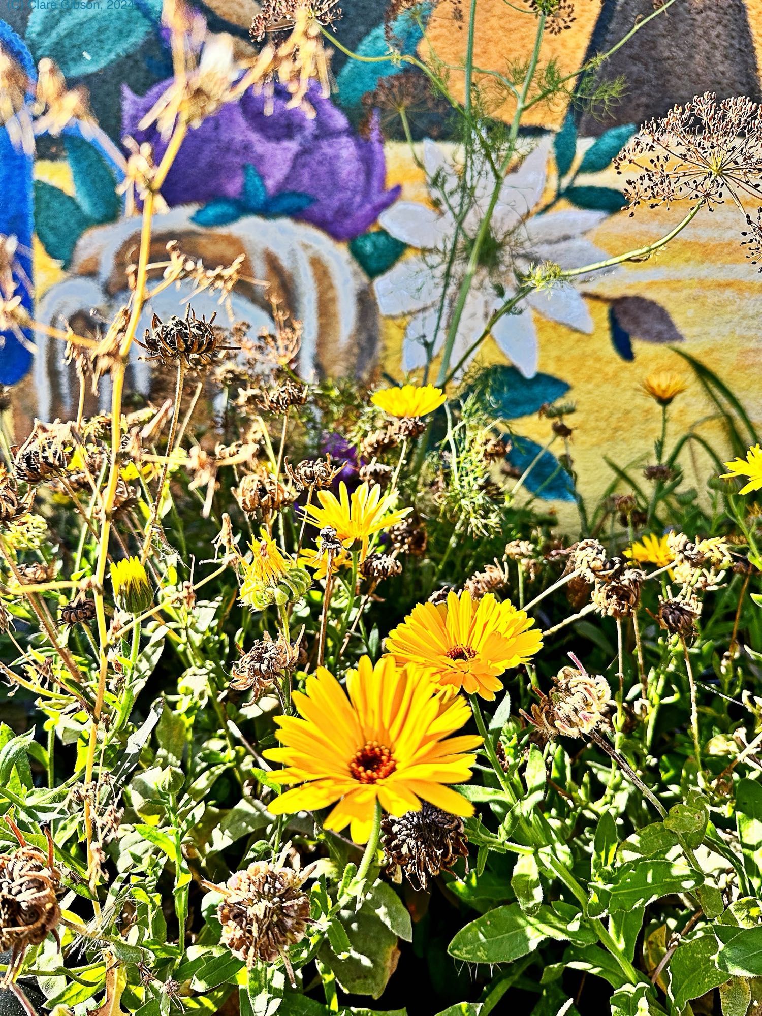 Planter with leaves and yellow flowers in front of blue purple, yellow and white mural that includes large white flower