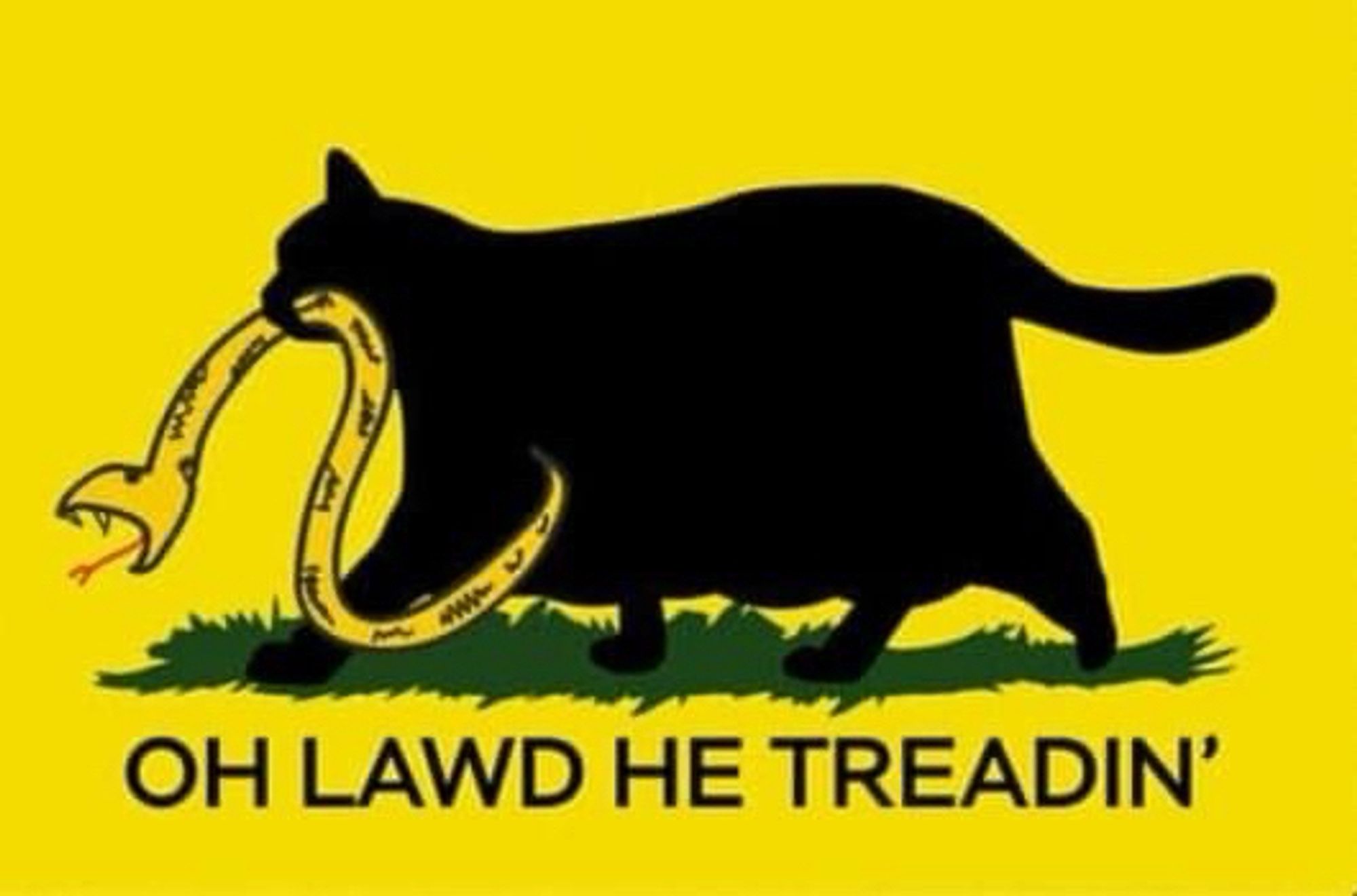 The Gadsden flag but it’s a big fat black cat walking purposefully with a dying snake it it’s jaws

Text:

OH LAWD HE TREADIN'