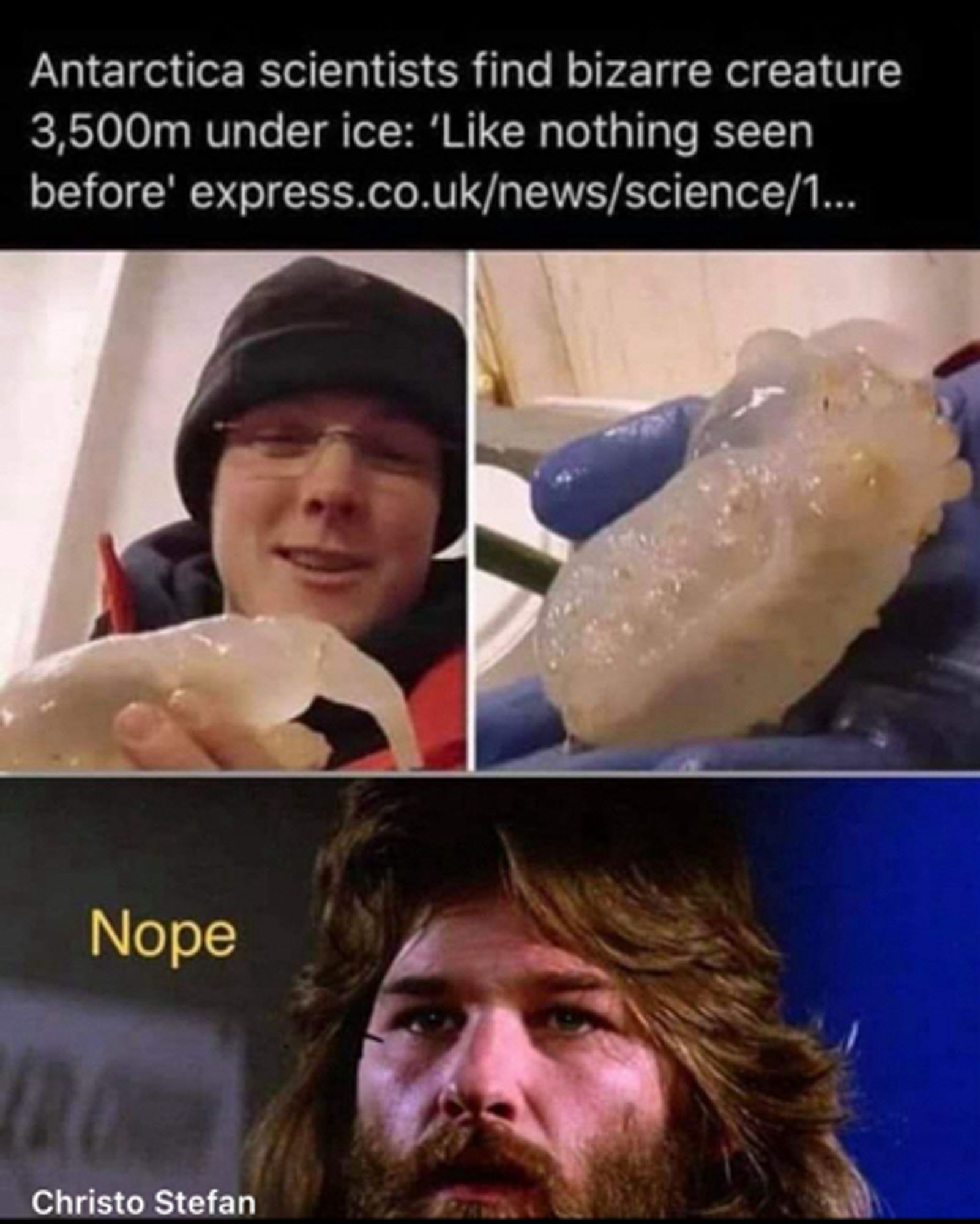 Meme triptych

First pic is a scientist holding an isopod 

Second pic is a closeup of a bag of slime

Third pic is Kurt Russell from The Thing (1980)

Text:


Antarctica scientists find bizarre creature 3,500m under ice: 'Like nothing seen before' express.co.uk/news/science/1...
Nope
Christo Stefan