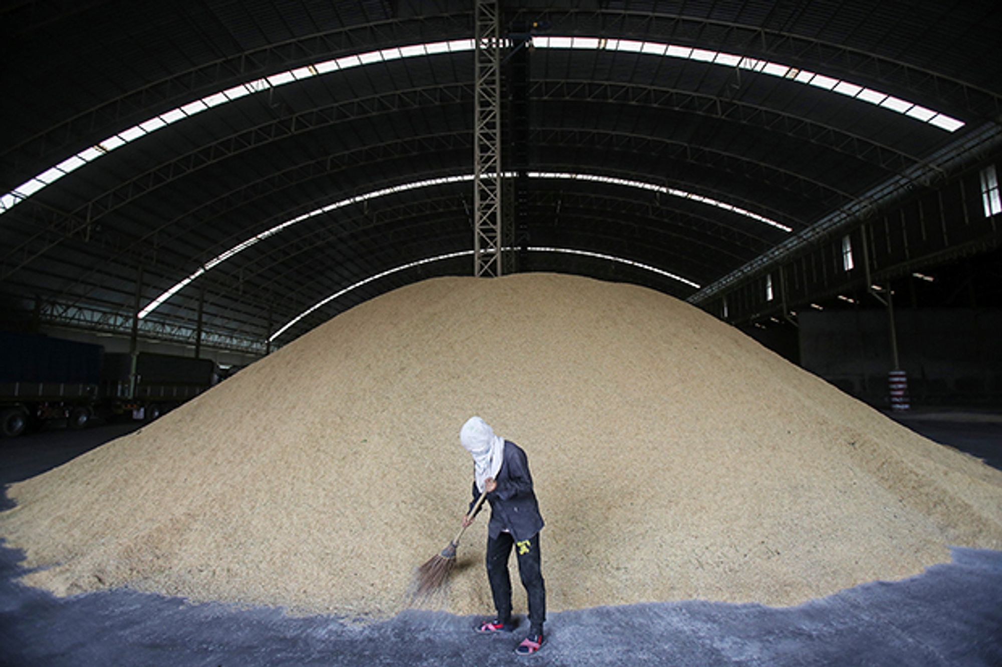 An image of a man shoveling and enormous pile of rice