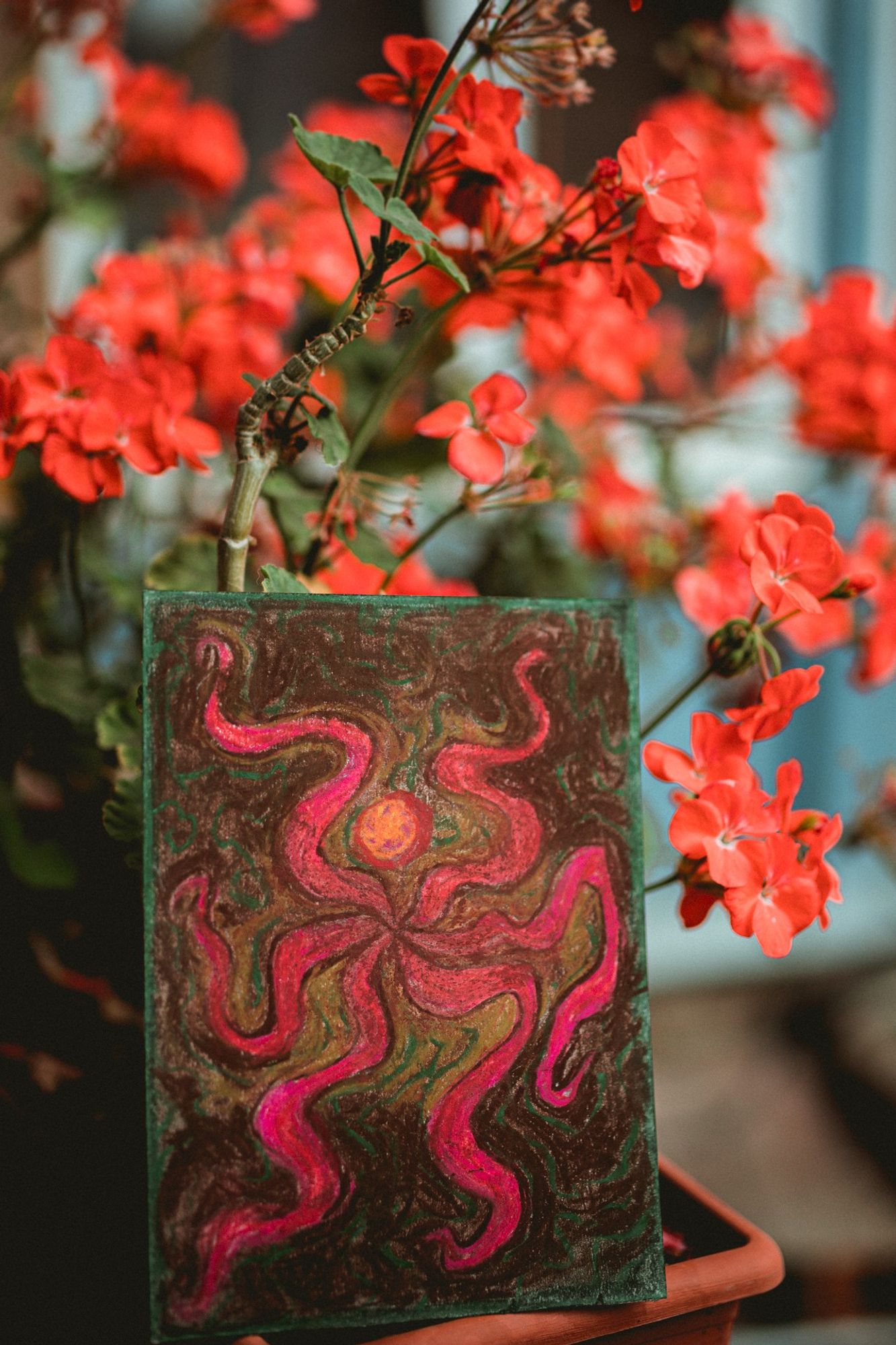 photo of the flowerman drawing which is vibing near some pelargonium 
(I suppose)