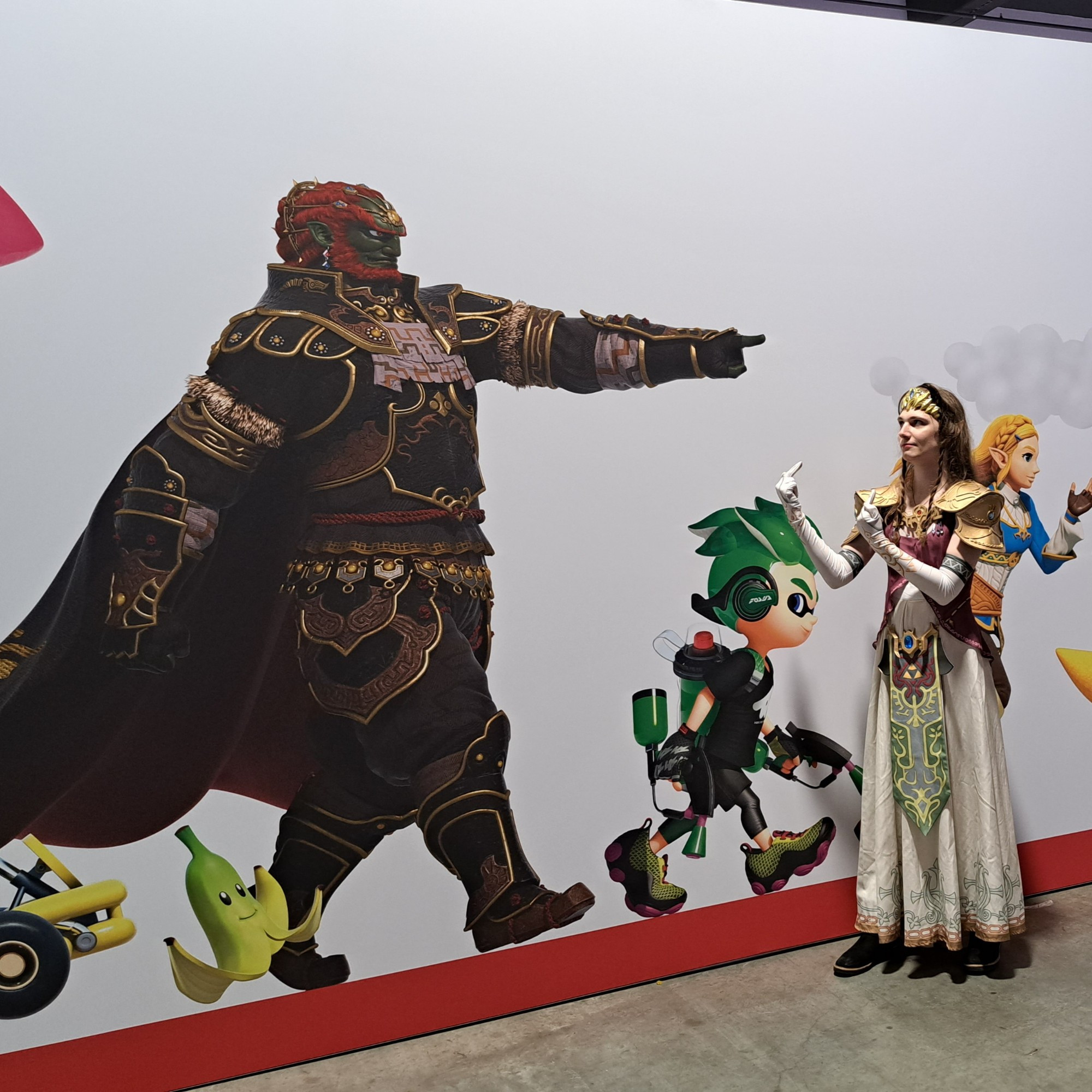 Me cosplaying Zelda flipping off a picture of Ganondorf