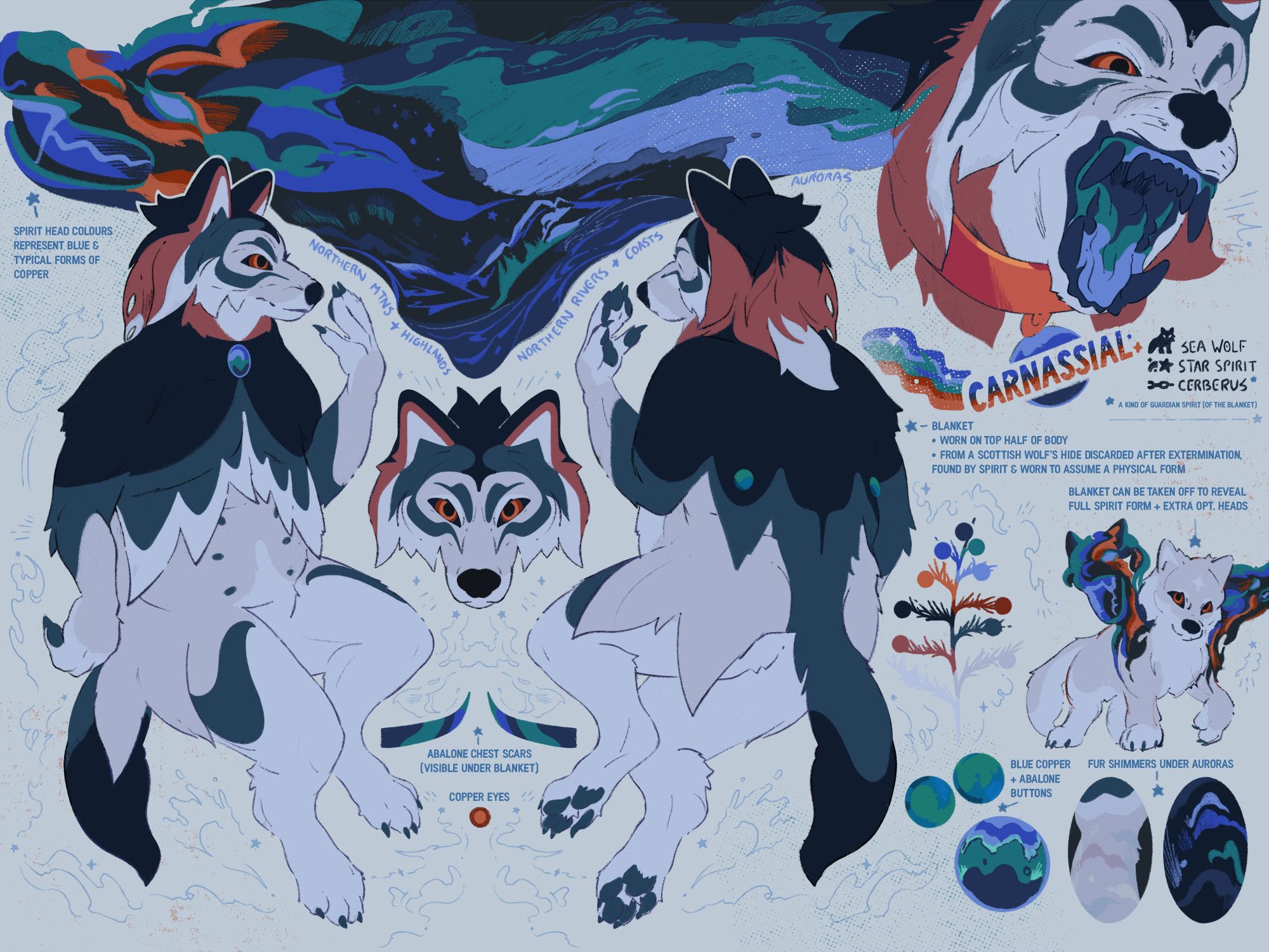 a ref sheet for my fursona, carnassial. she's a white/silver wolf who wears a wolf hide like a poncho on the upper half of her body; the hide is dark denim blue and has streaks of auburn around her head. without the blanket, she looks just like a plain white wolf (apart from her extra incorporeal heads, which are iridescent and float from her shoulders when visible).