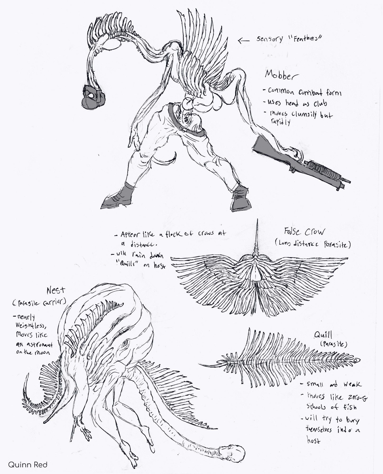 Black and white sketches of parasitic alien feathers and their forms.

Top image is of a soldier torn in half into a gangly monster, using their head as a club and wielding a shotgun in the remaining hand.
Lower right, the forms of "Feather", from the singular quill to the bird-like False Crow that consist of many Quills.
Lower left is "The Nest", a human body bloated into a balloon with dangling limbs, it's head dragging back like a tail as a Feather acts as a new head.