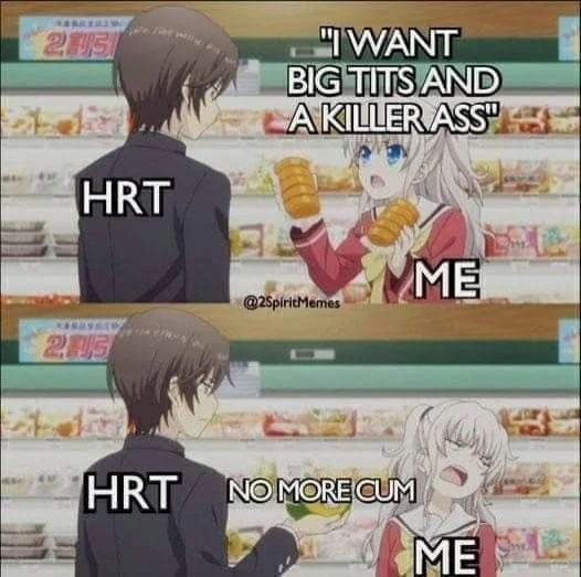 Anime scene. Boy labeled "HRT", girl labeled "Me". "Me" says "I want big tits and a killer ass". HRT says "No more cum".