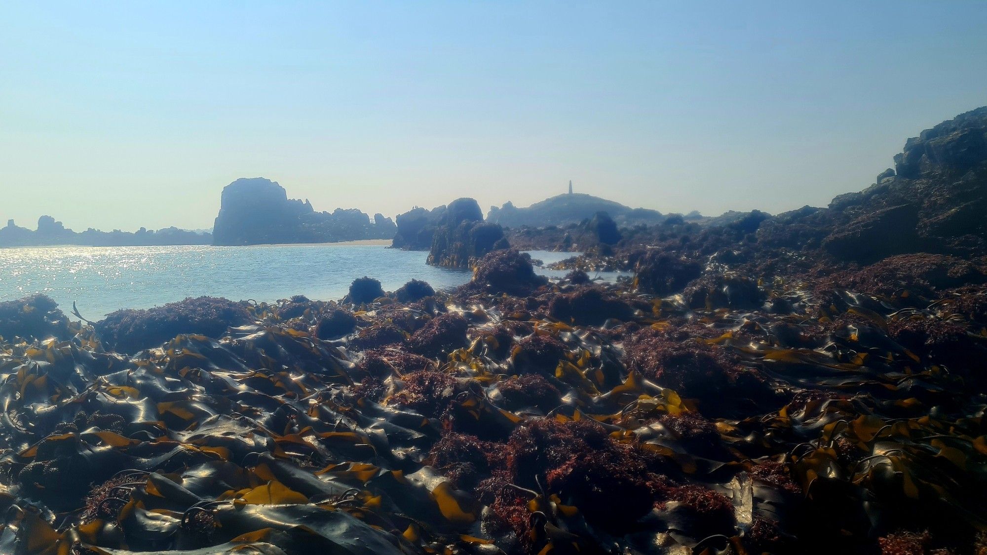 Holala c'est COUVERT de laminaires ces rochers et au fond des îles avec une tourelle blanche qui dépasse