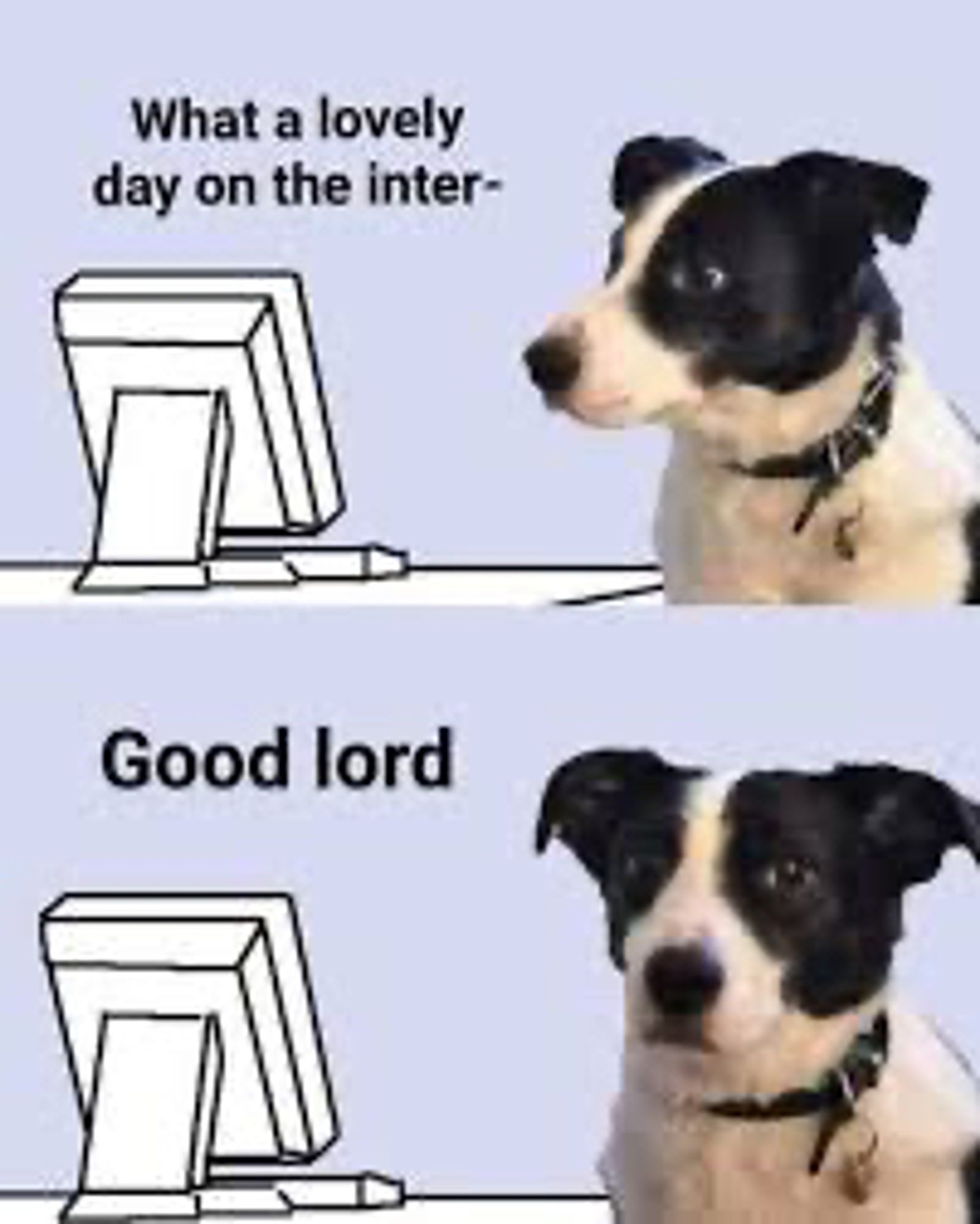 internet dog meme:
oberes bild ein hund der auf einen computerbildschirm schaut: "what a lovely day on the inter-"
unteres bild der hund schaut in die kamera:"good lord"