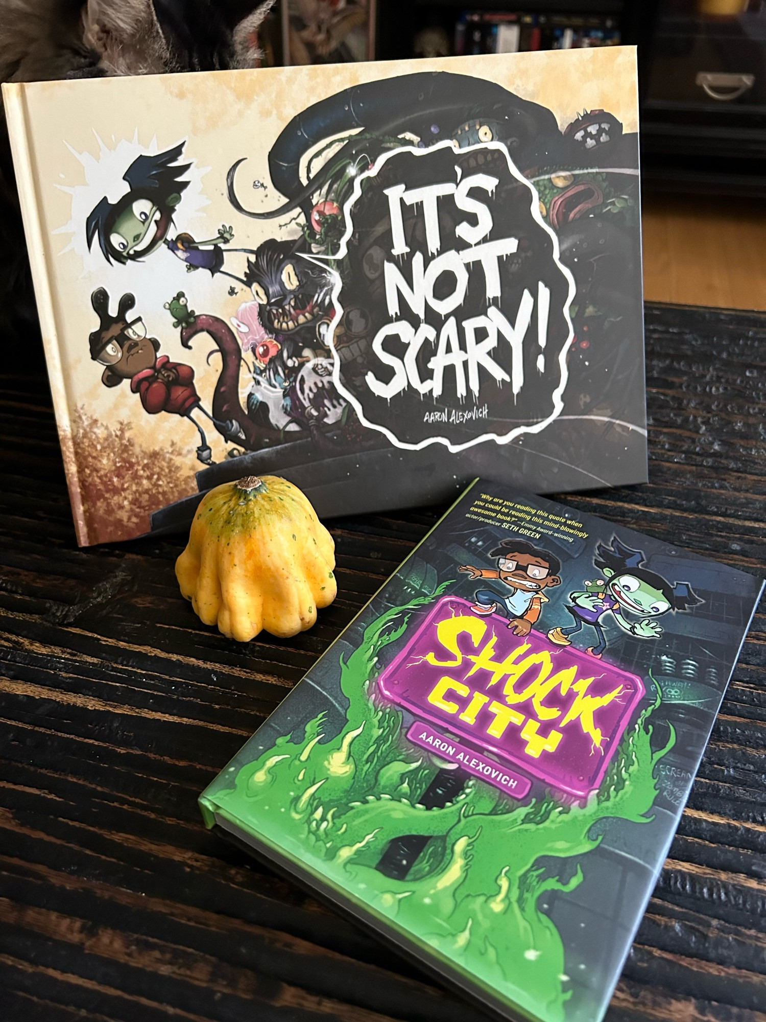 Two kids’ horror books, IT’S NOT SCARY! and SHOCK CITY. They’re very good!