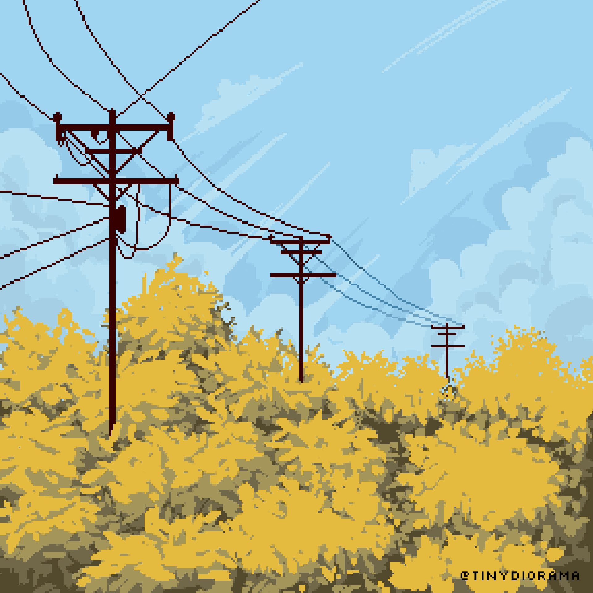 yellow autumn trees with power lines, and a blue sky behind them