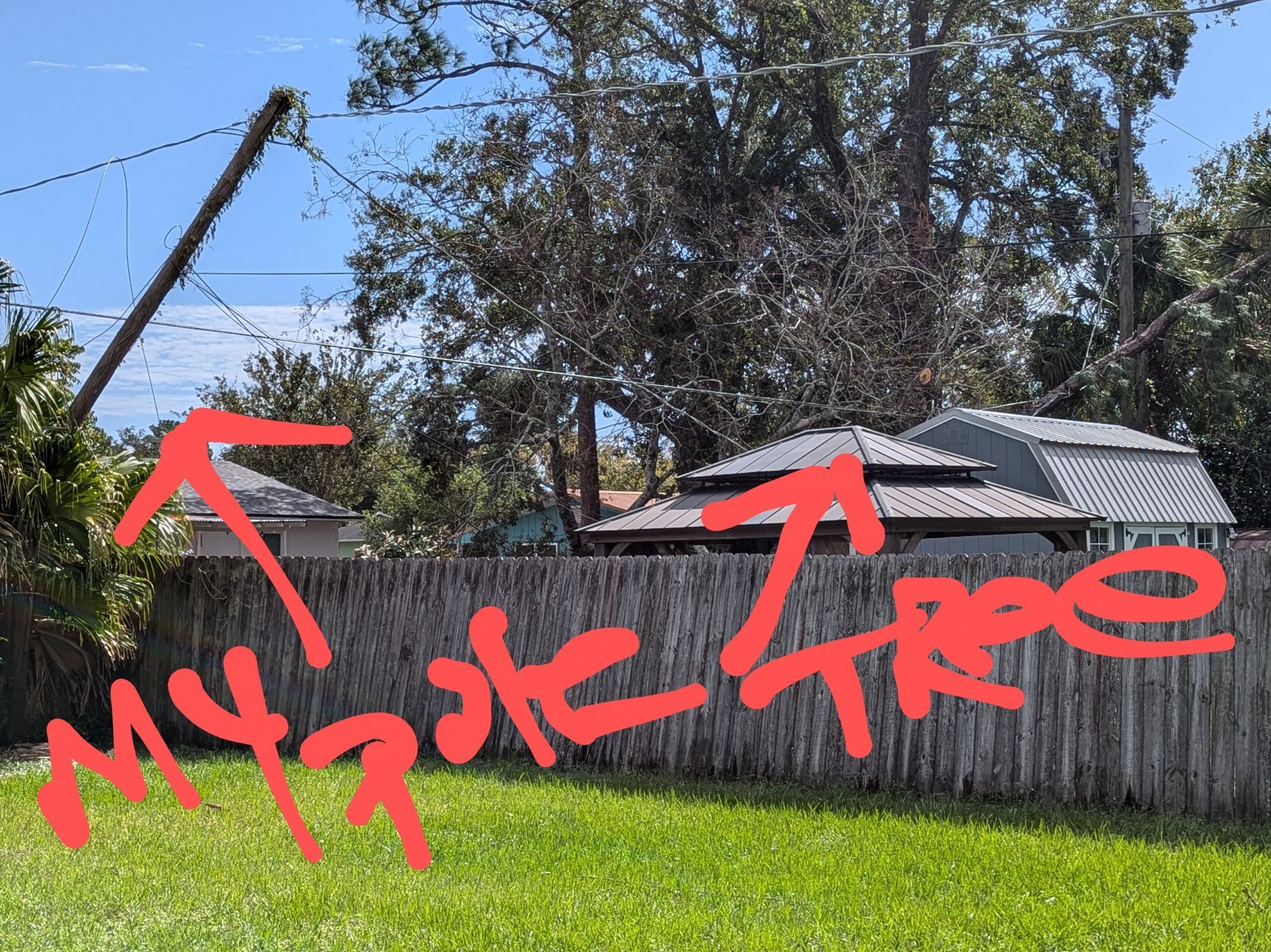 Picture of broken power pole and trees on electrical lines after hurricane Milton.