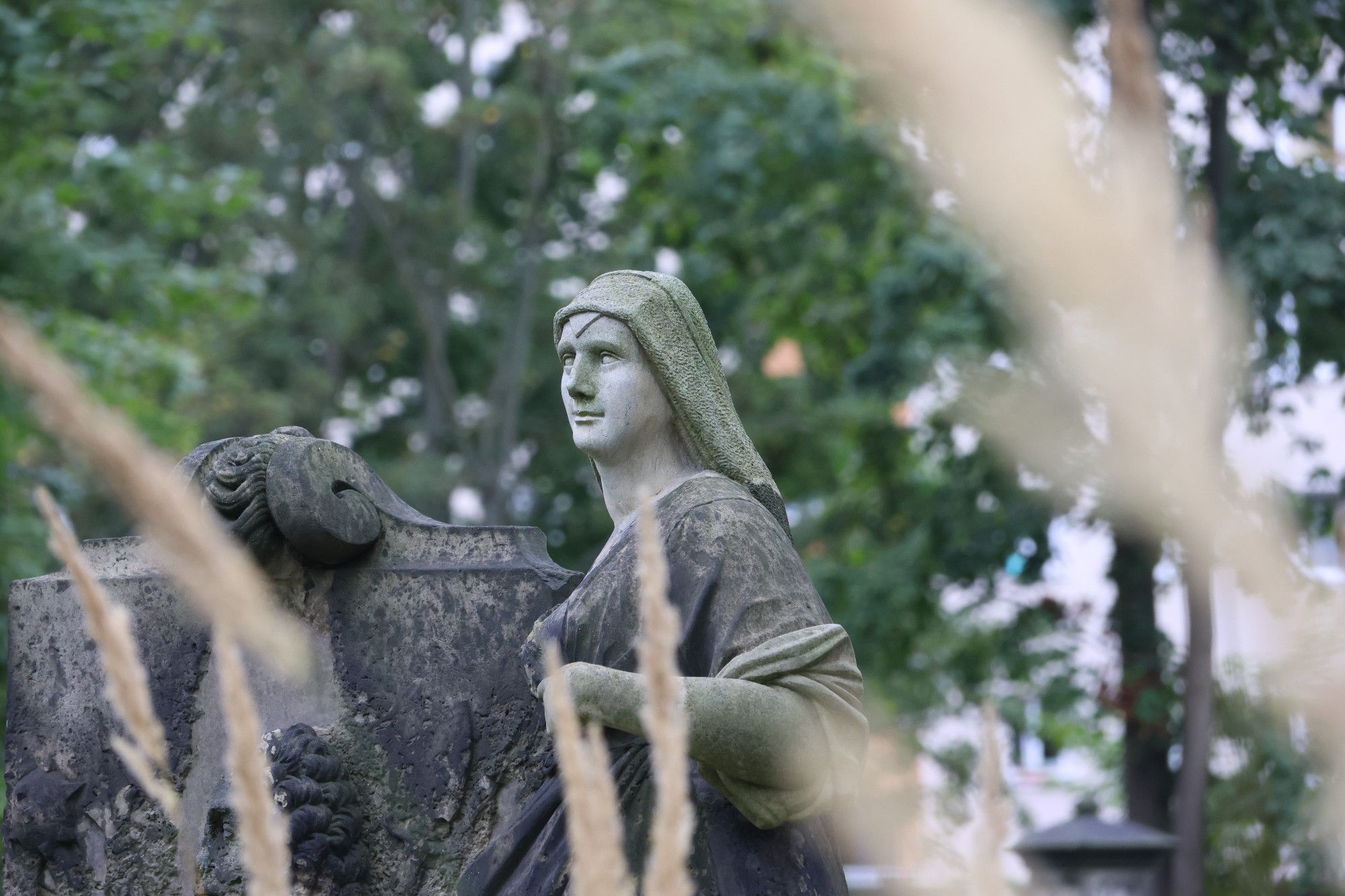 Zwischen hohen beigefarbenen Gräsern hindurch fotografierter nach links blickender Kopf einer  Frauenstatue an einem verfallenen Grabmal.