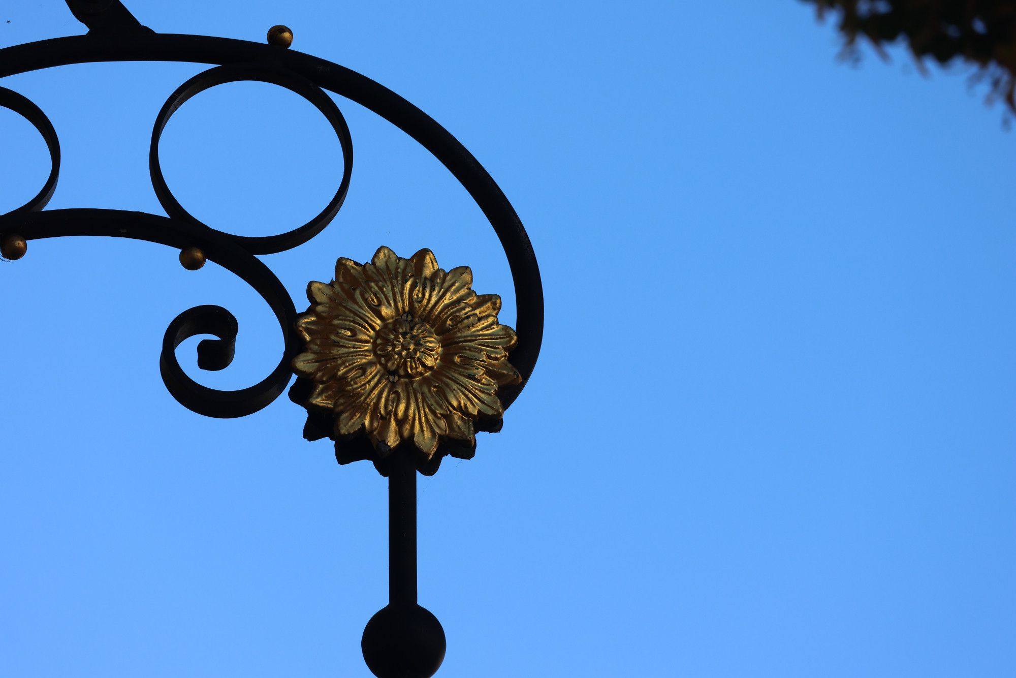 Ein schmiedeeisernes Ladenschild mit einer goldenen Blume zwischen schwarzen Kreisen und Streben vor blauem Himmel.