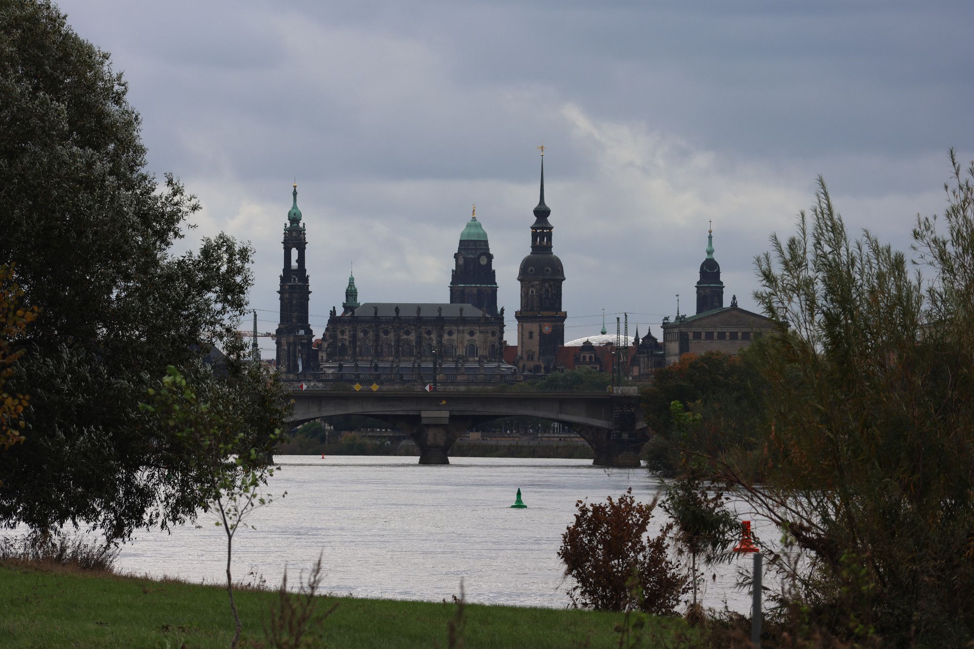 Durchblick auf die Dresdner Altstadt zwischen Bäumen und Büschen hindurch, im Vordergrund eine grüne Wiese am Elbeufer.