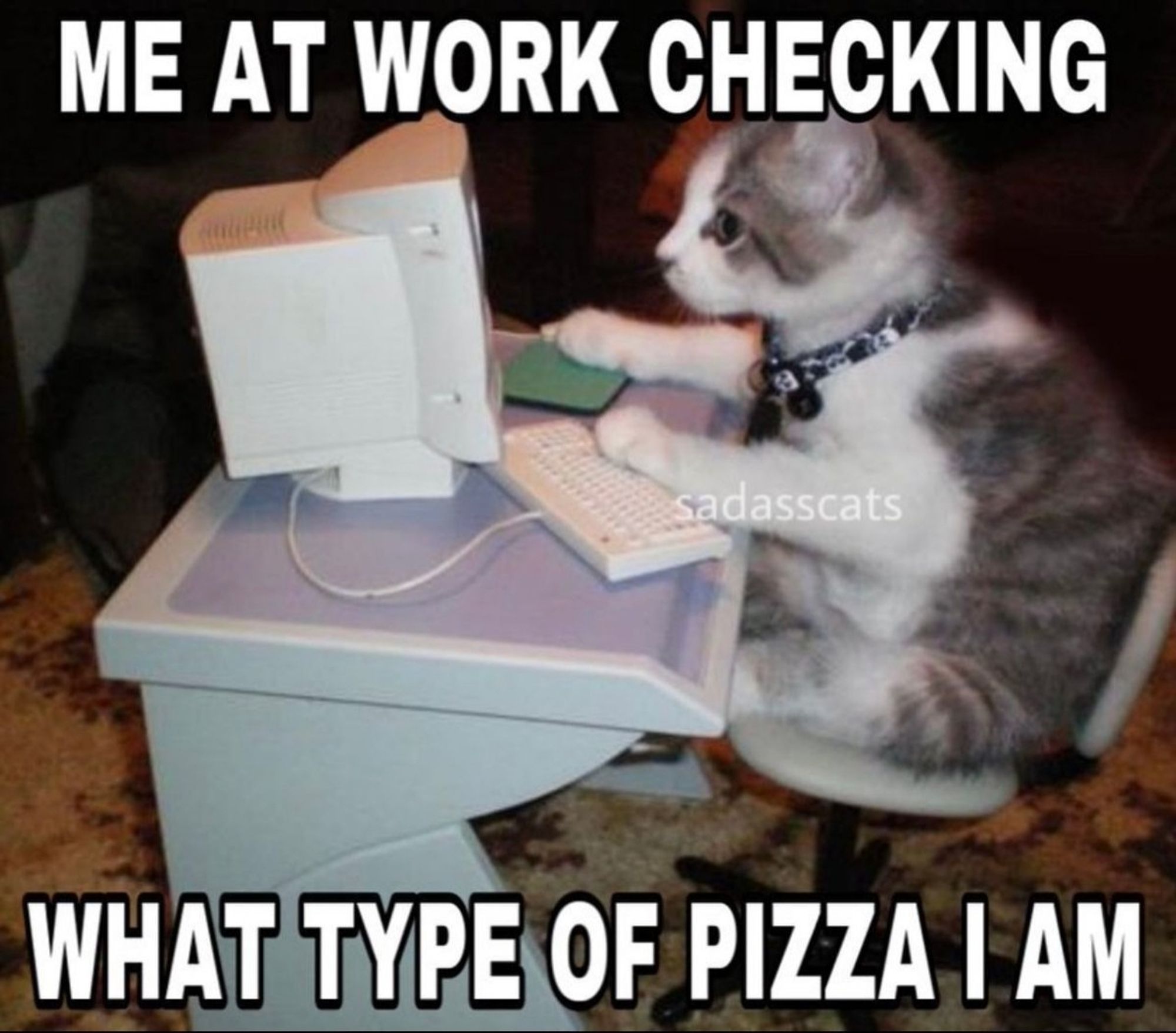 A small kitten sat at a tiny desk with a computer. The text reads "Me at work checking what type of pizza I am".