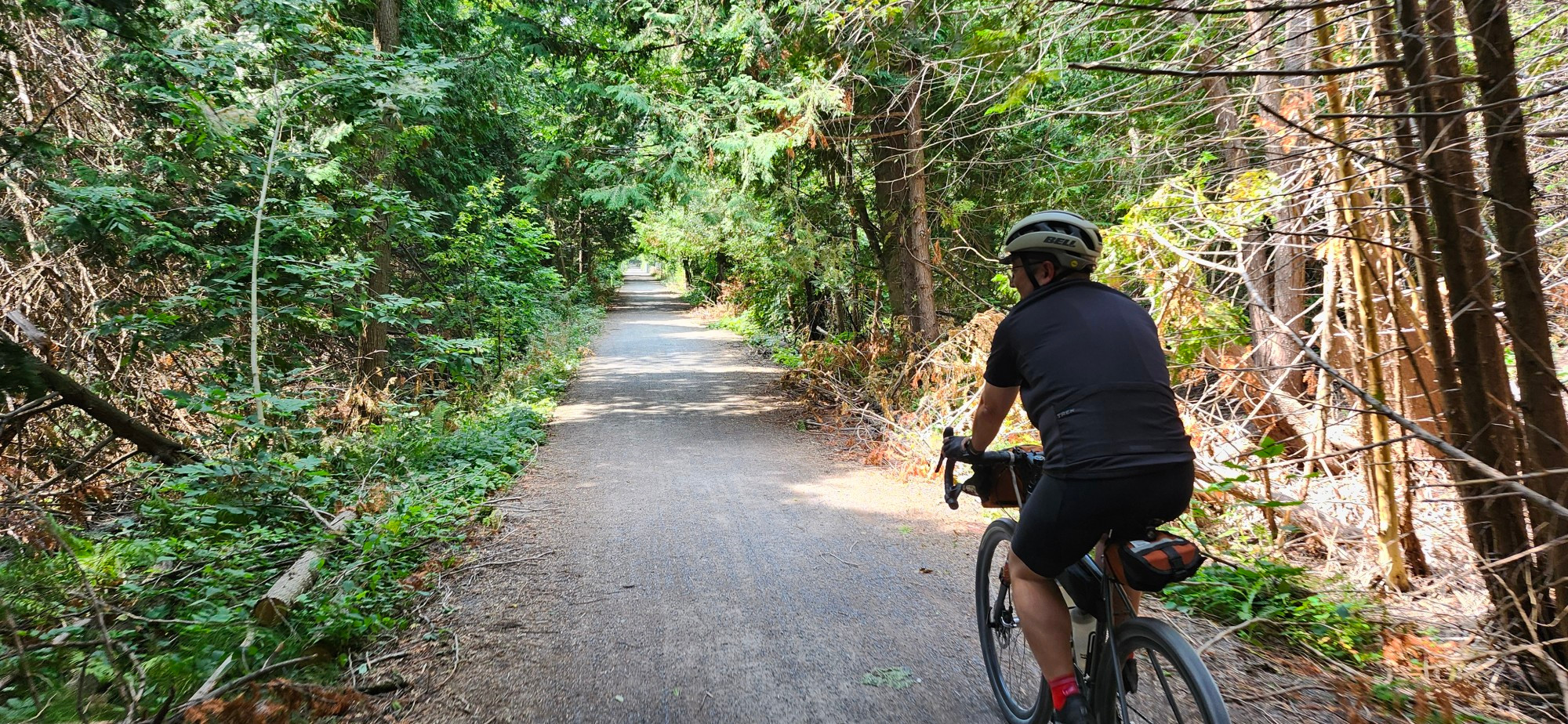 tree tunnels galore