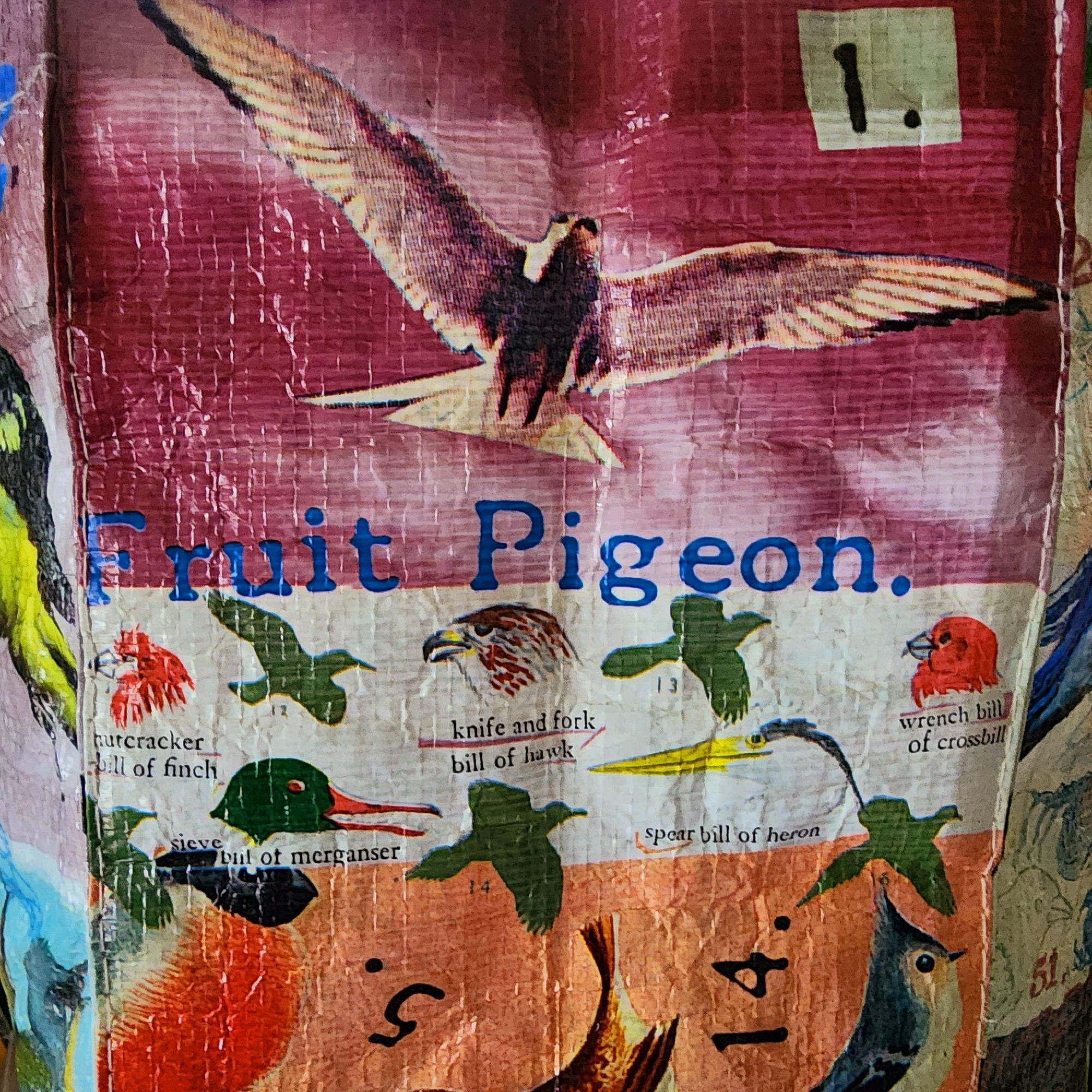 A grocery bag with colorful illustrations of birds including large blue text that reads "Fruit Pigeon."