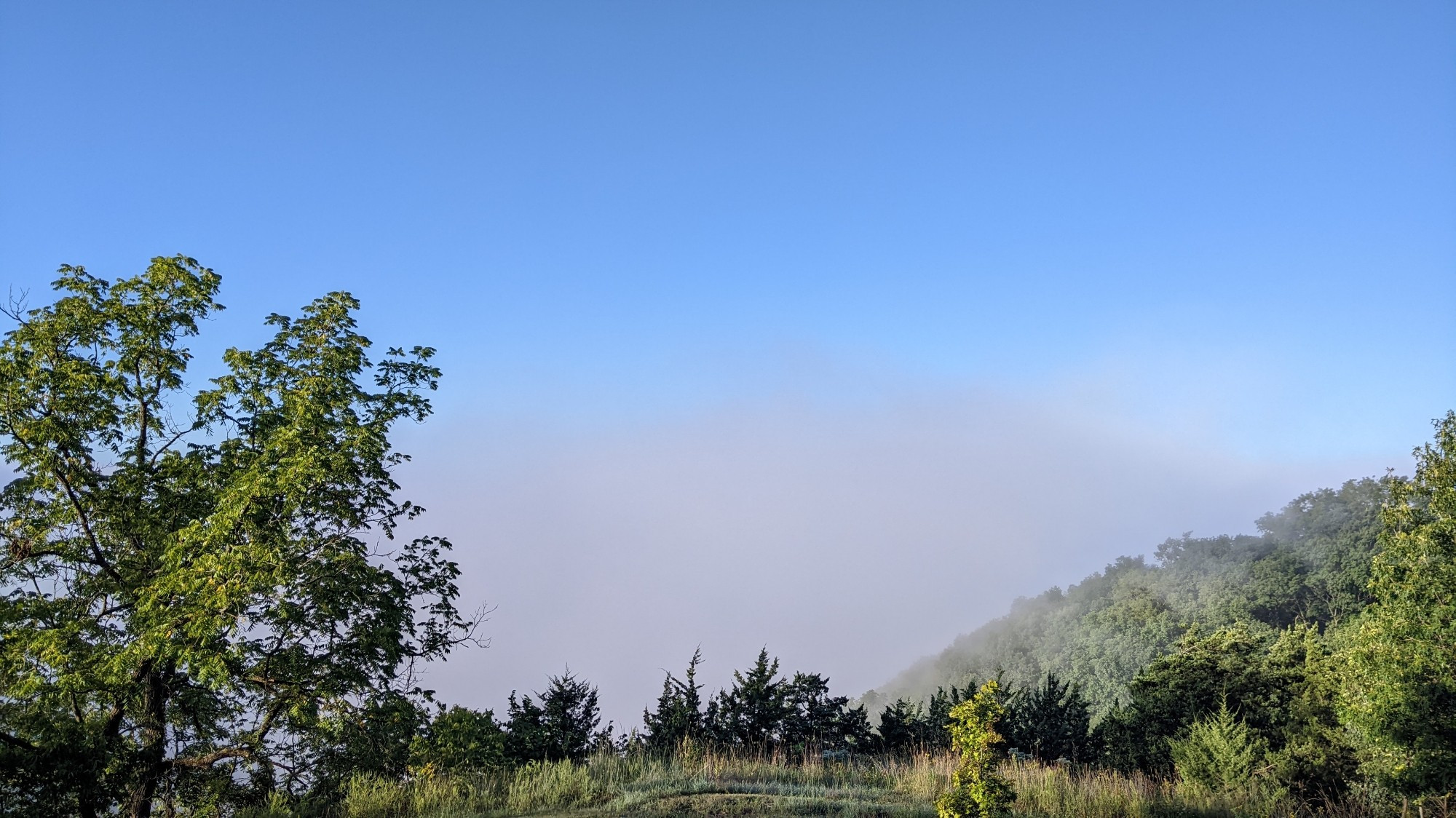 River fog blanketing the whole river valley