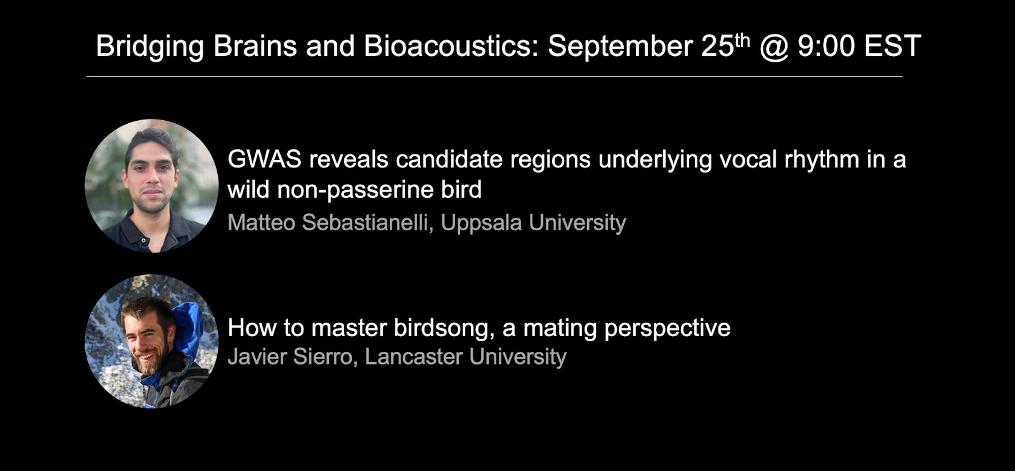 Bridging Brains and Bioacoustics seminar for September 25th, 2024 at 9:00 Eastern US time.

From Matteo Sebastianelli : GWAS reveals candidate regions underlying vocal rhythm in a wild non-passerine bird

From Javier Sierro: How to master birdsong, a mating perspective